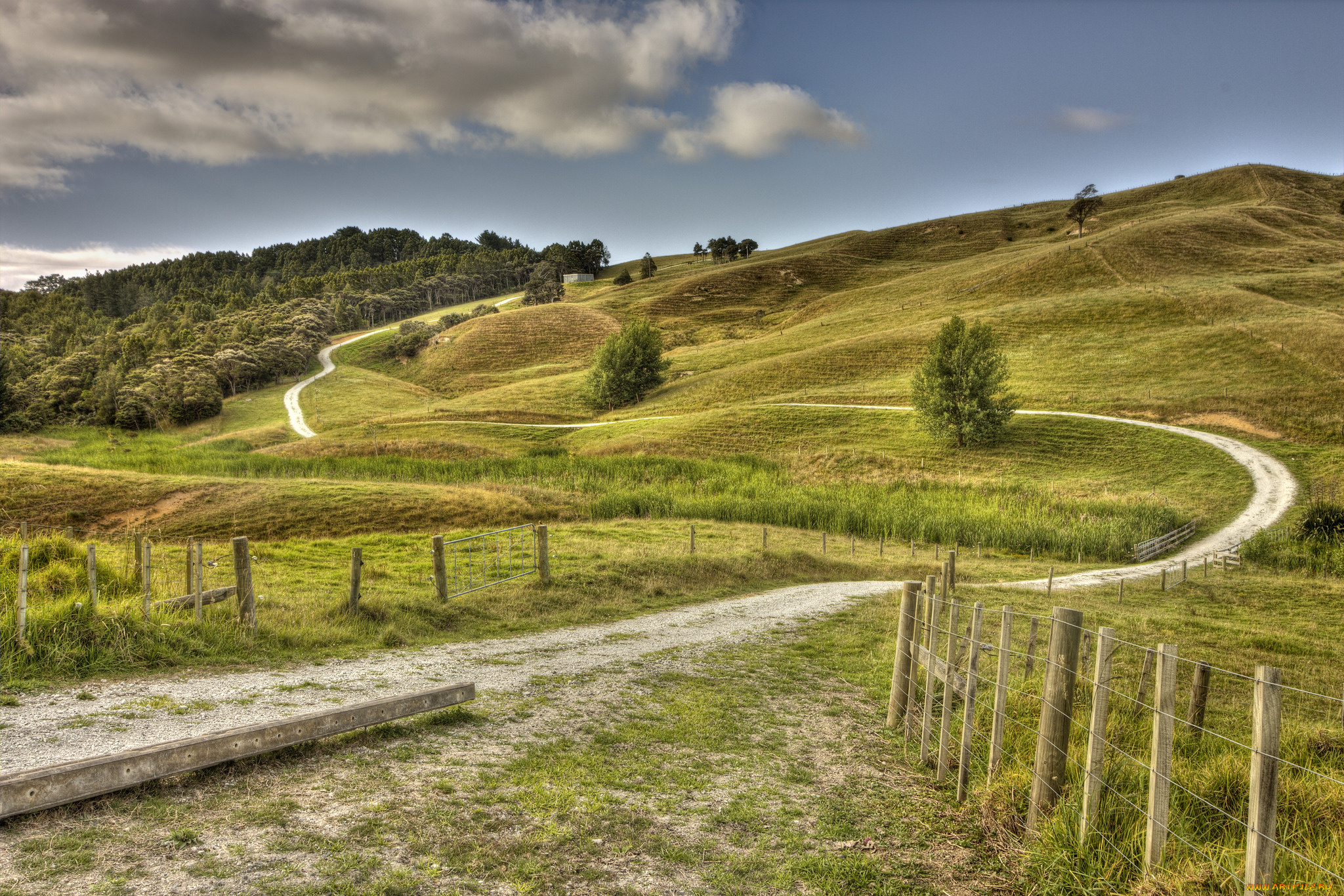 природа, дороги, простор