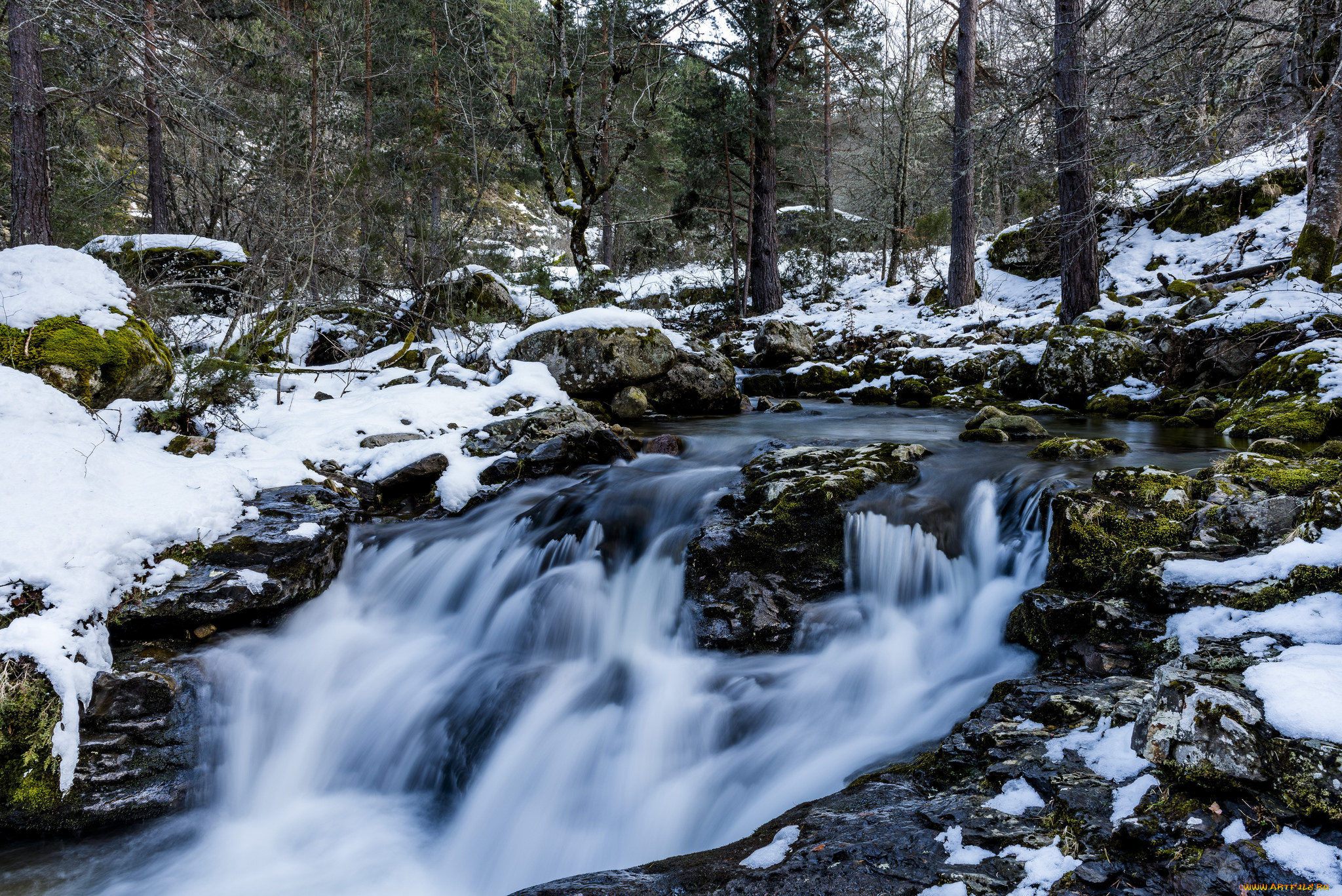 природа, реки, озера, простор