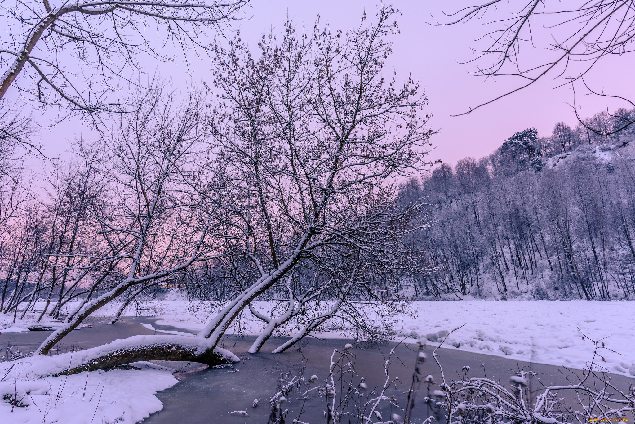 природа, реки, озера, простор