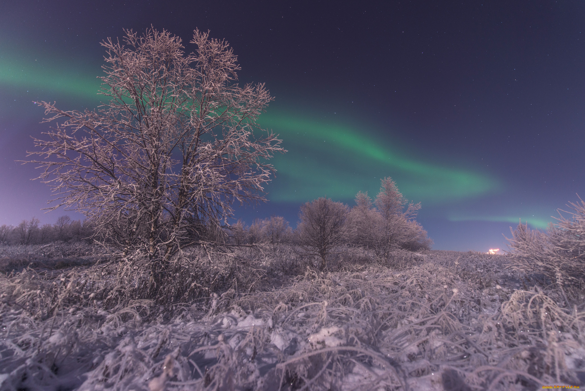 природа, зима, простор