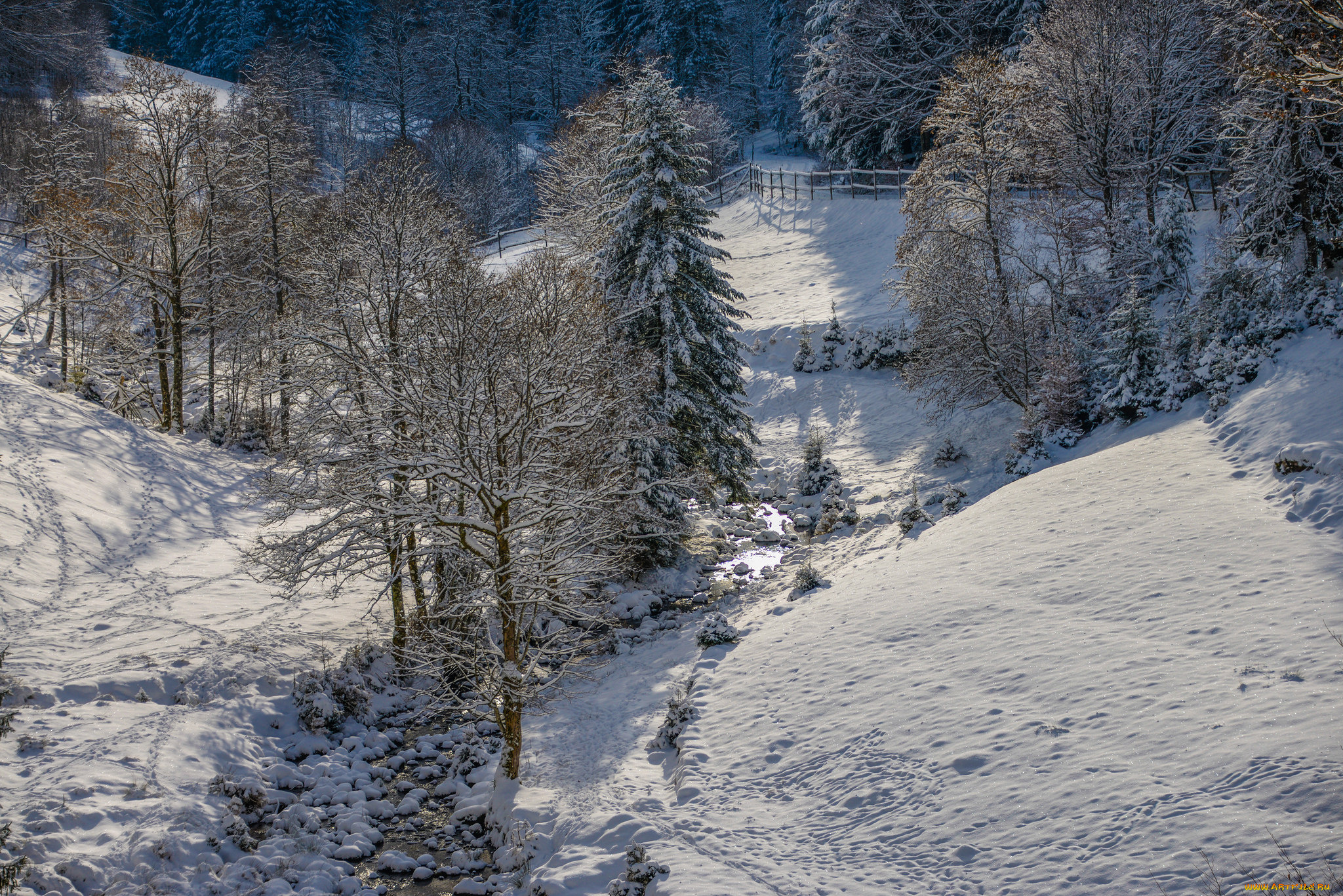 природа, зима, простор