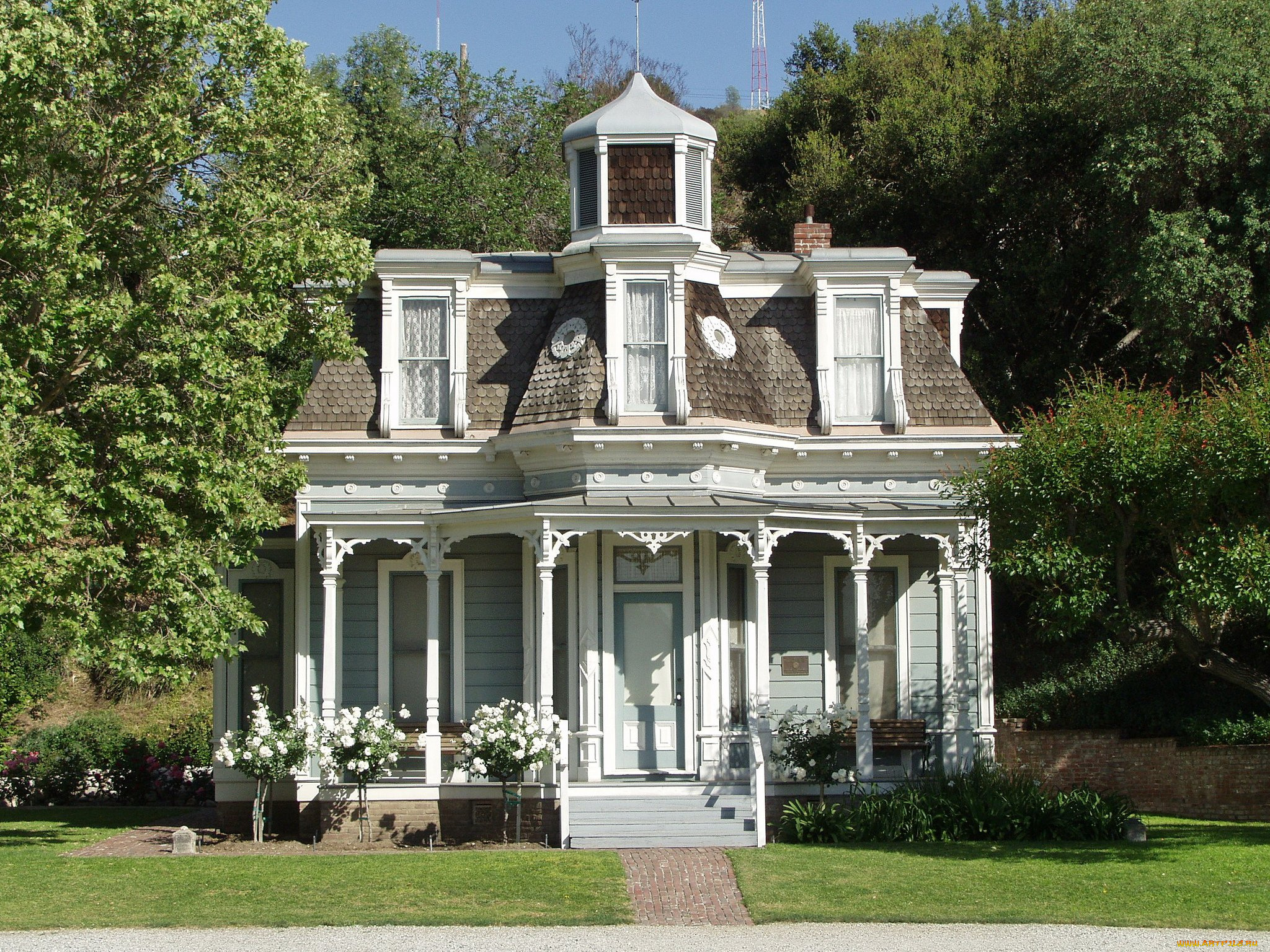 города, -, здания, , дома, розы, деревья, дом