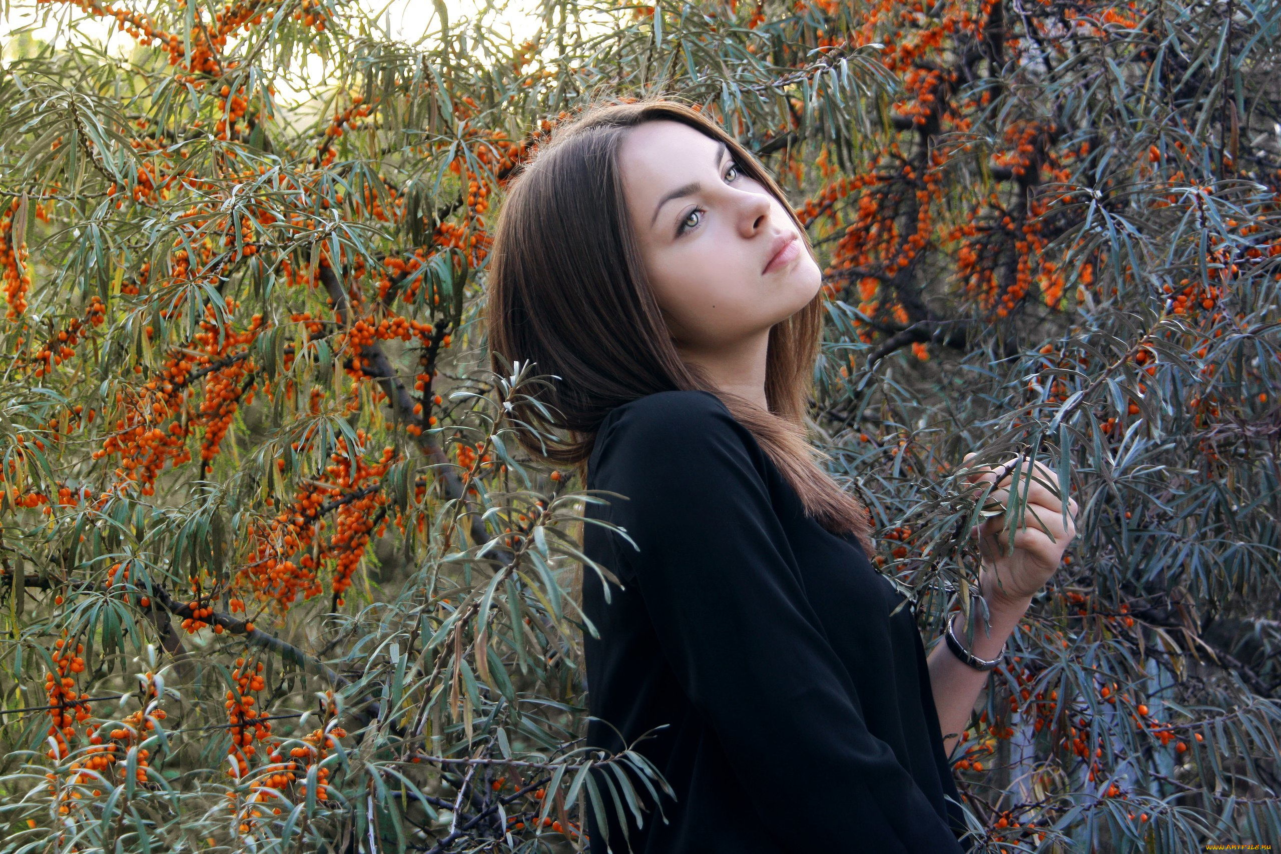 девушка, девушки, -unsort, , брюнетки, темноволосые, модель