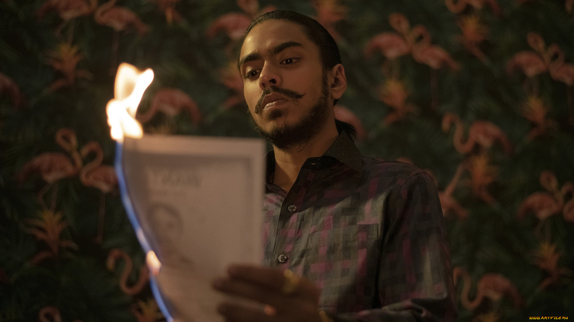 the, white, tiger, , , 2021, , кино, фильмы, -unknown, , другое, белый, тигр, индия, сша, драма, криминал, adarsh, gourav, balram