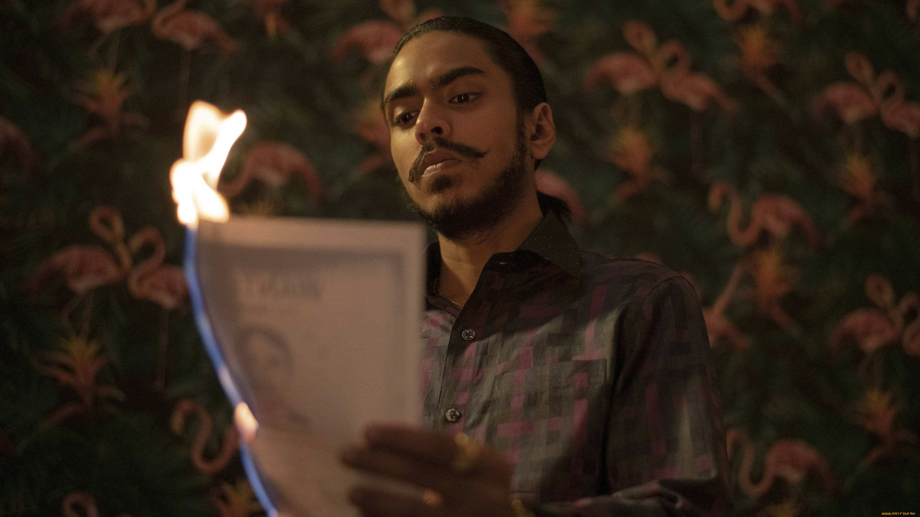 the, white, tiger, , , 2021, , кино, фильмы, -unknown, , другое, белый, тигр, индия, сша, драма, криминал, adarsh, gourav, balram