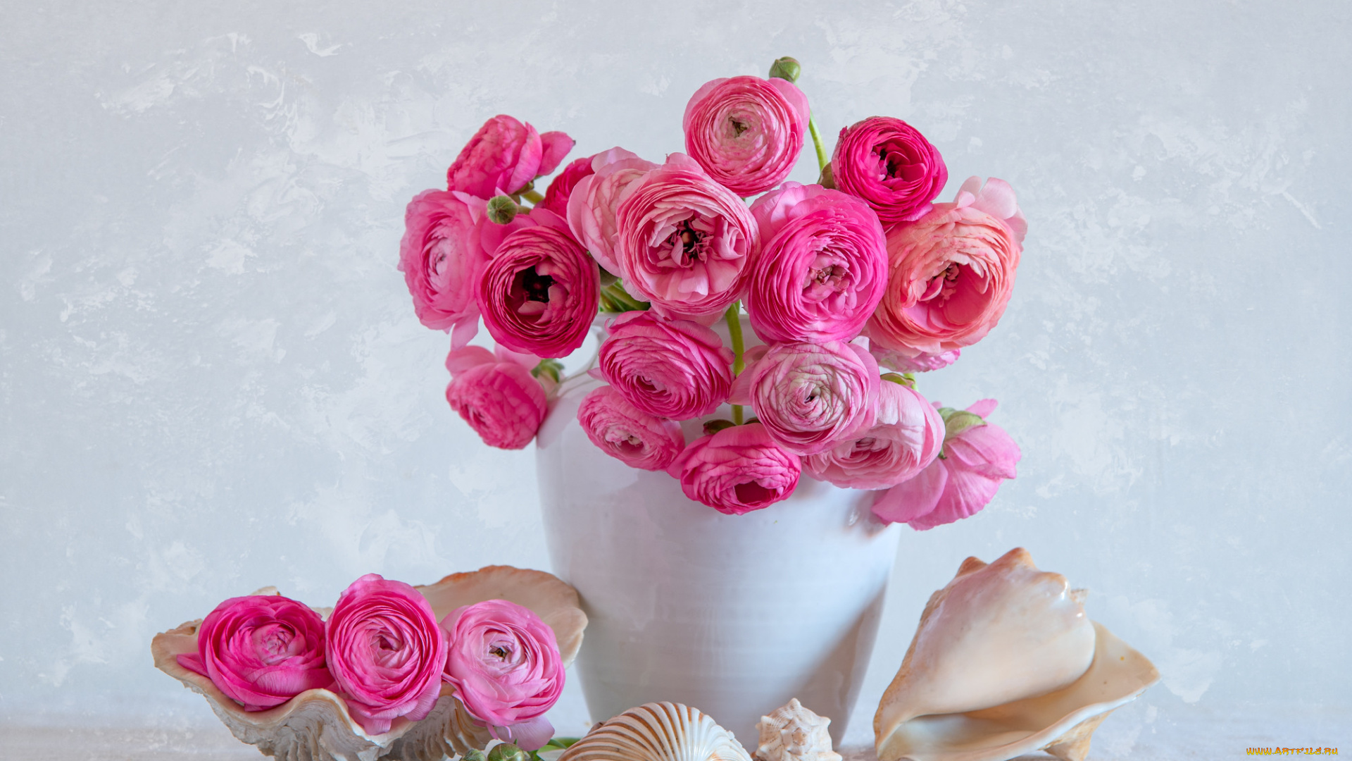 цветы, люпин, лютик, ваза, букет, ракушки