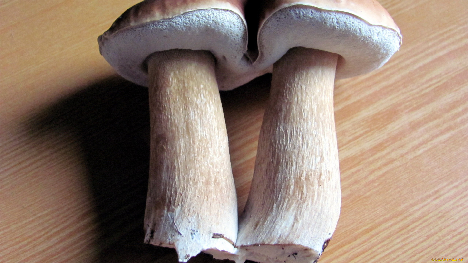 еда, грибы, , грибные, блюда, боровики