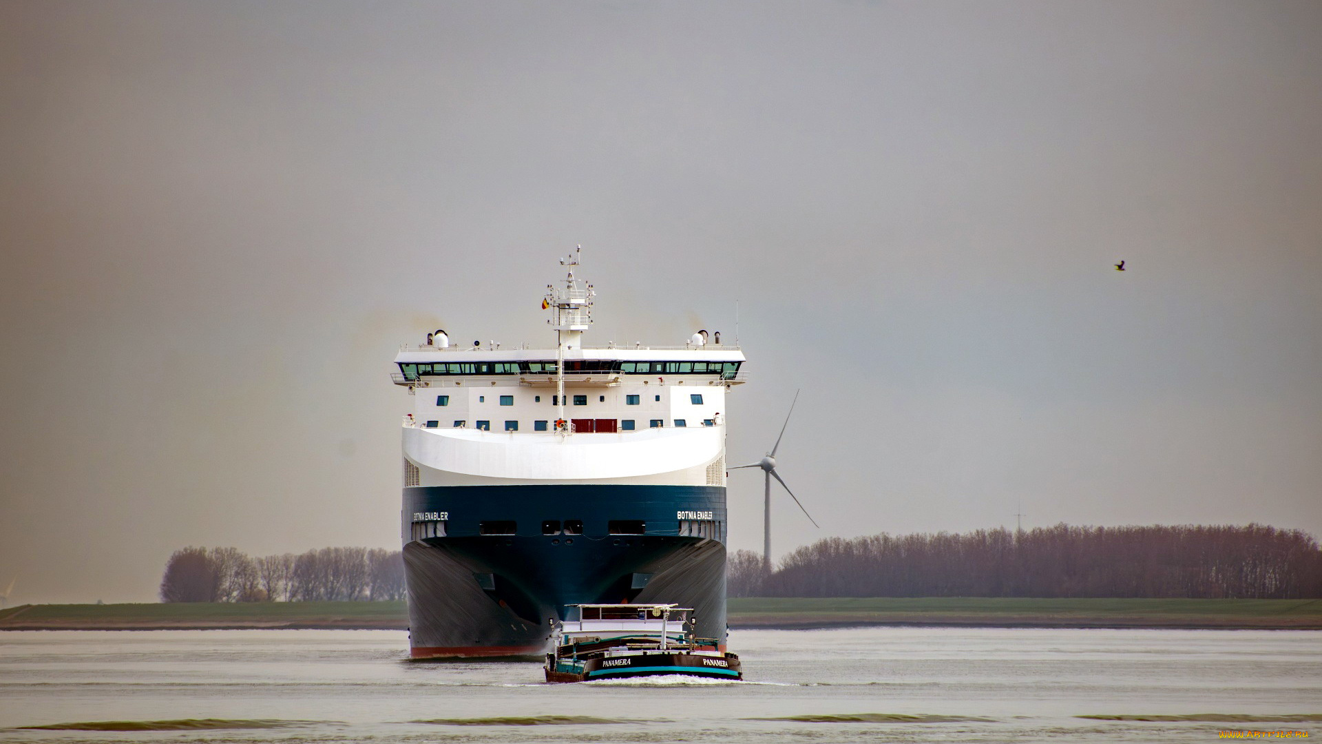 корабли, разные, вместе, лайнер, лоцман