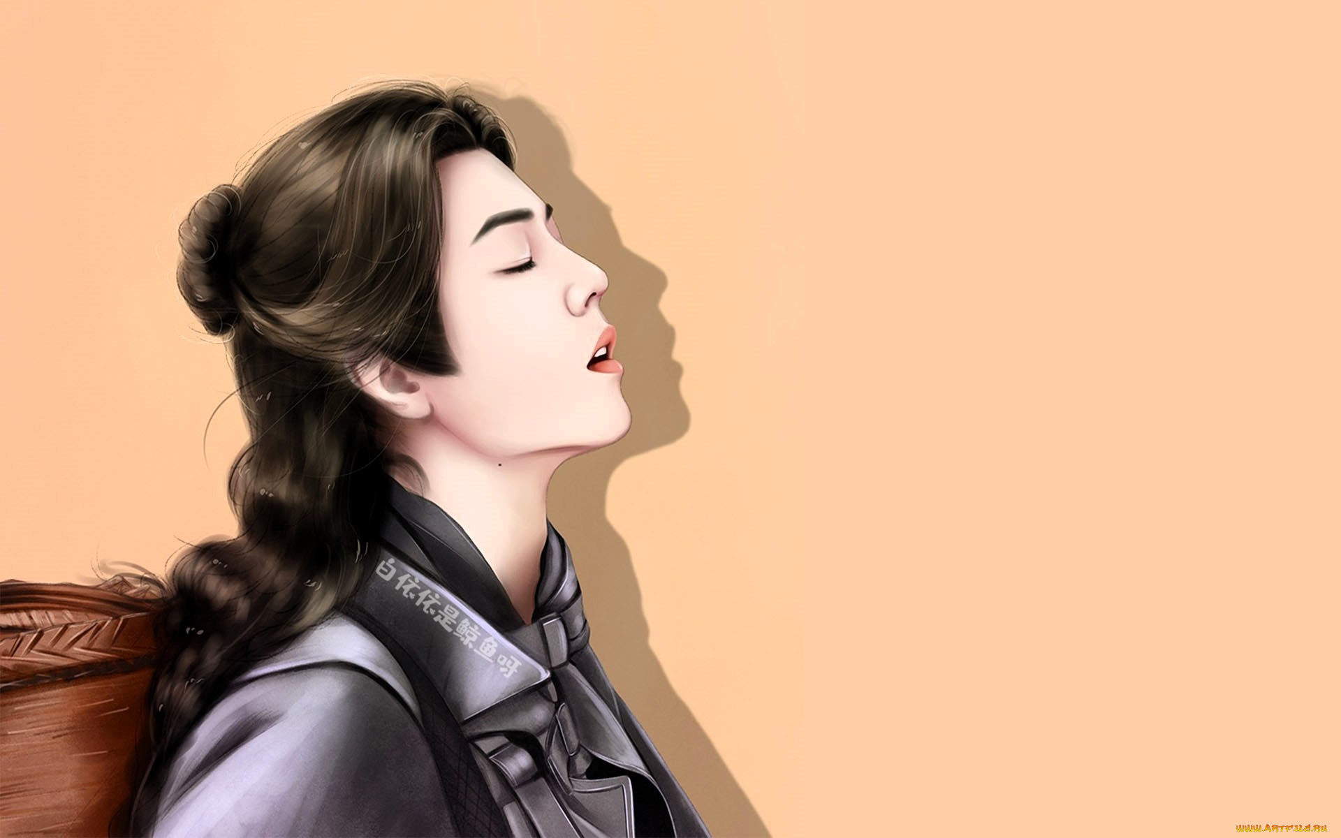 рисованное, кино, , мультфильмы, тан, сан, корзина