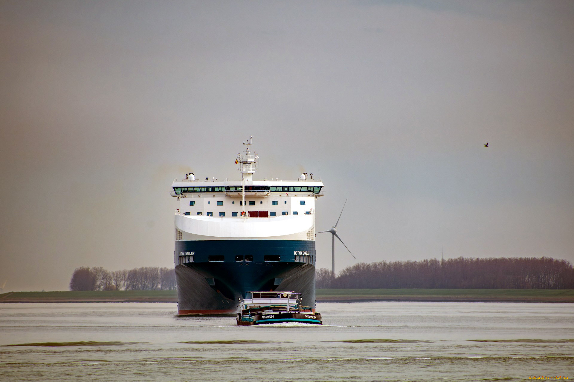 корабли, разные, вместе, лайнер, лоцман