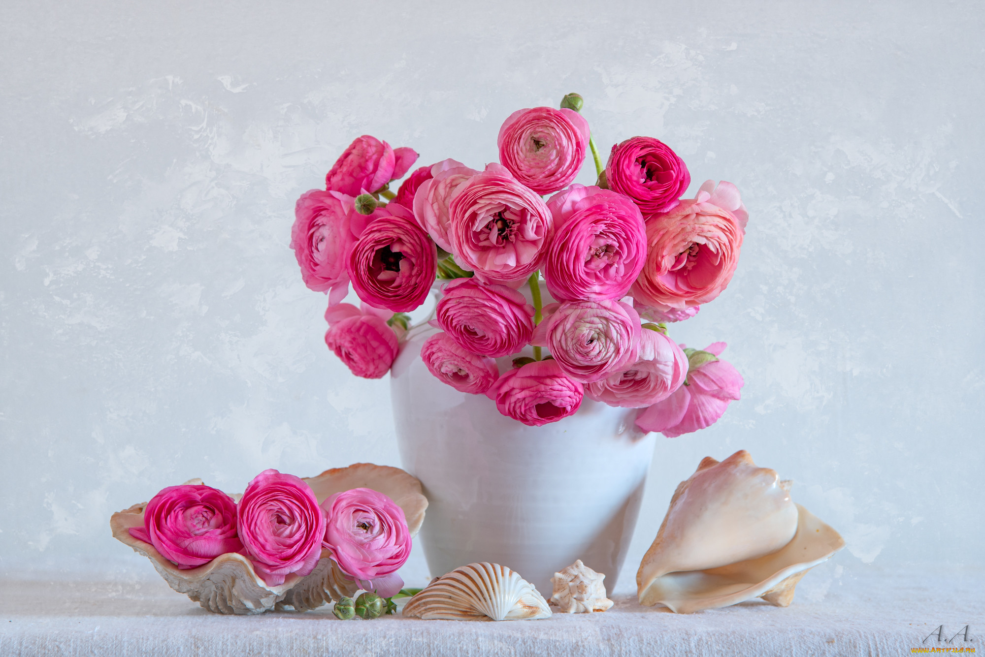 цветы, люпин, лютик, ваза, букет, ракушки