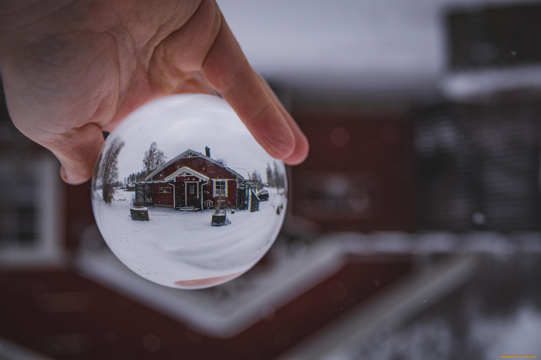 разное, руки, , ноги, шар