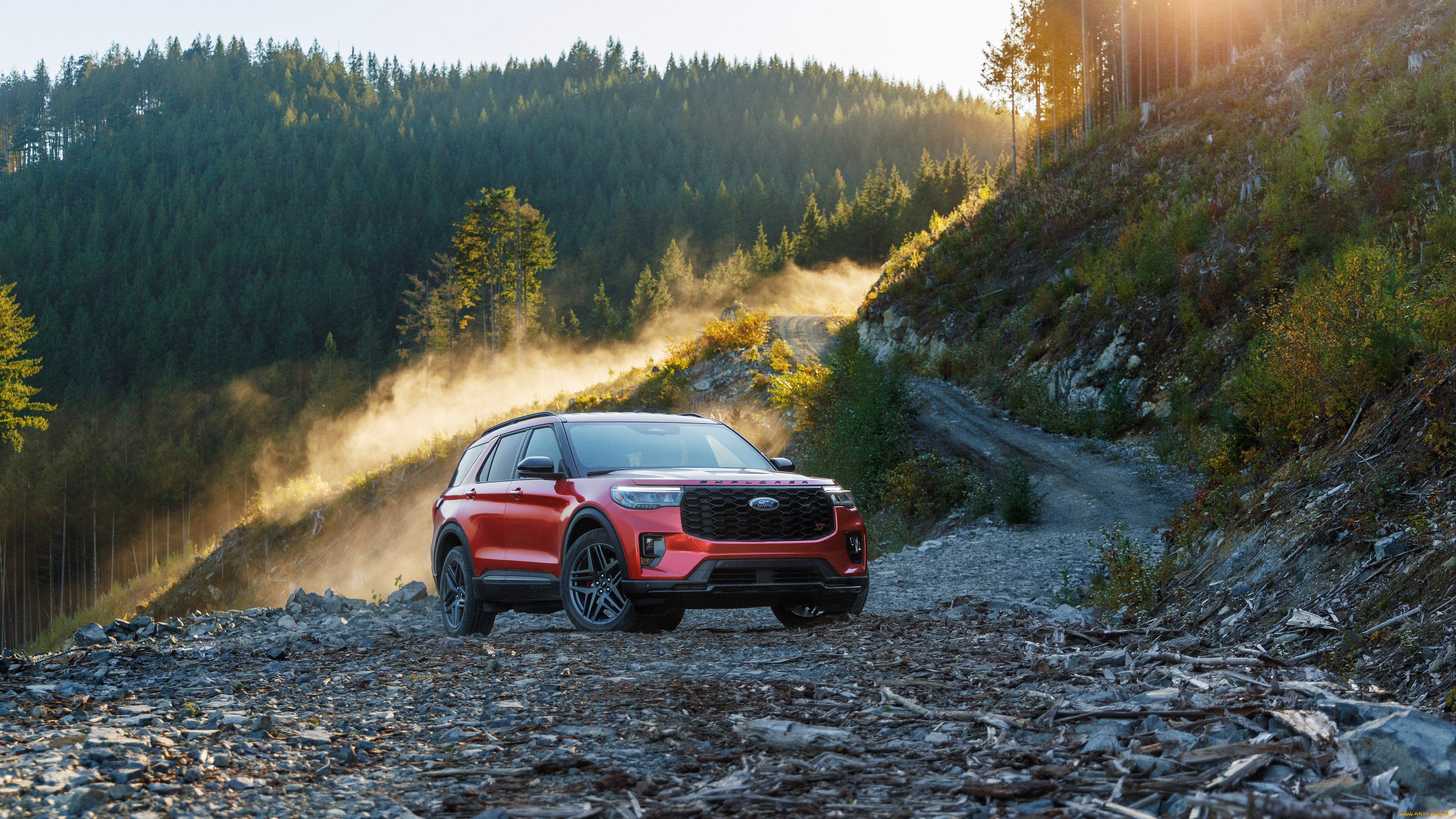 автомобили, ford, explorer, st, 2025
