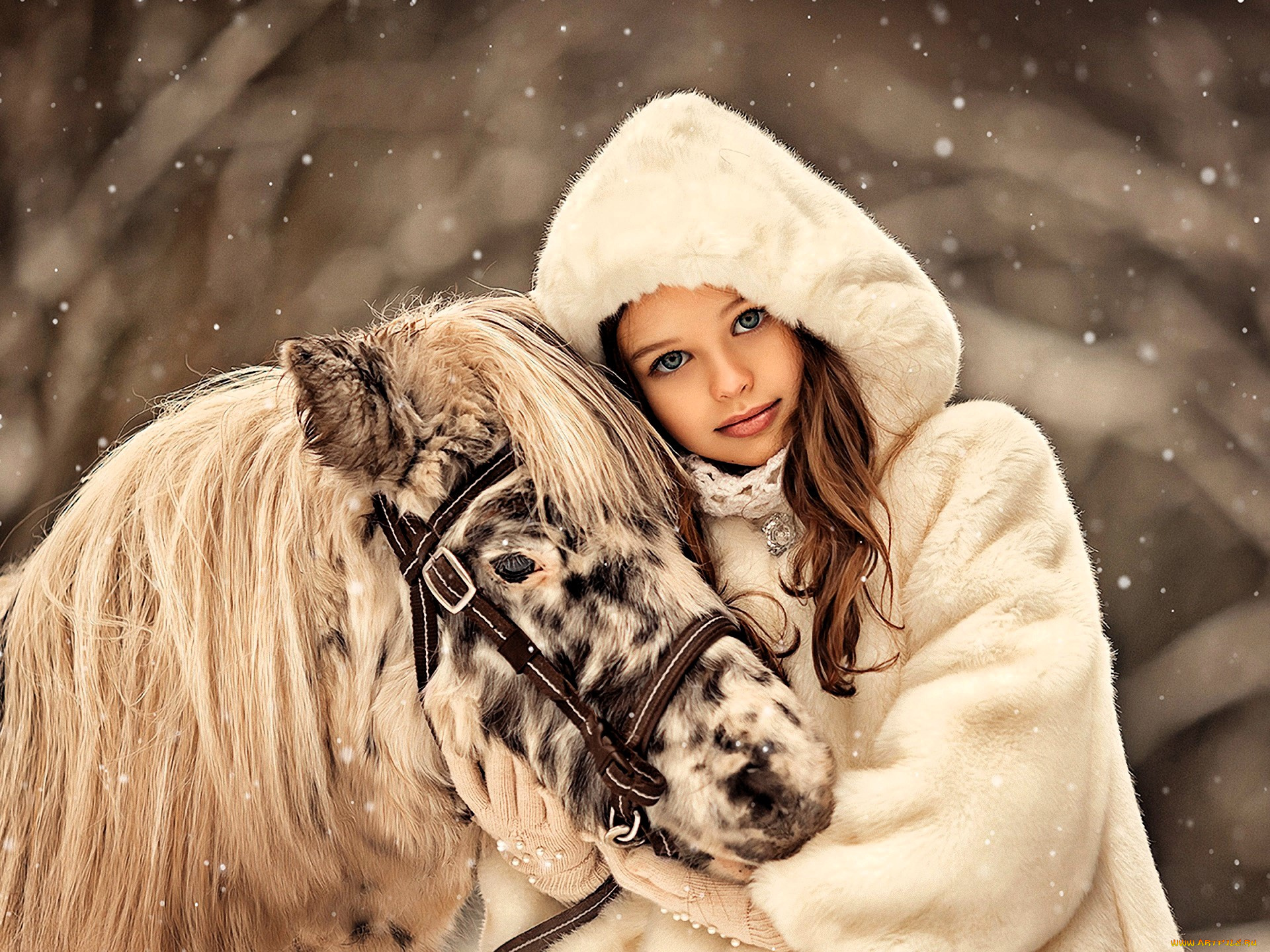 разное, дети, девочка, шуба, лошадь, пони, снег