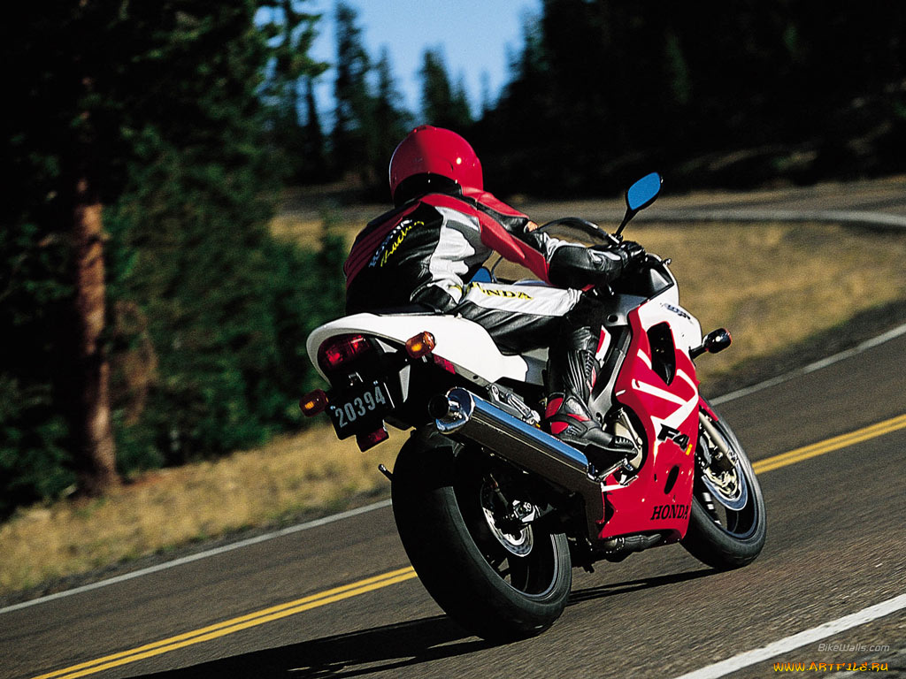 honda, cbr, 600, мотоциклы