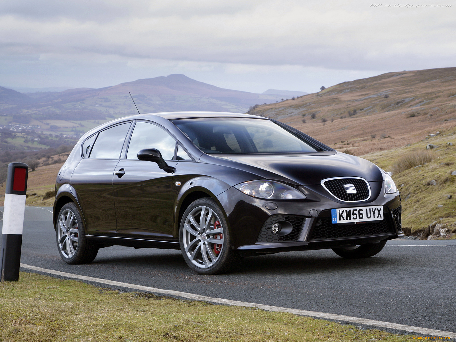 автомобили, seat