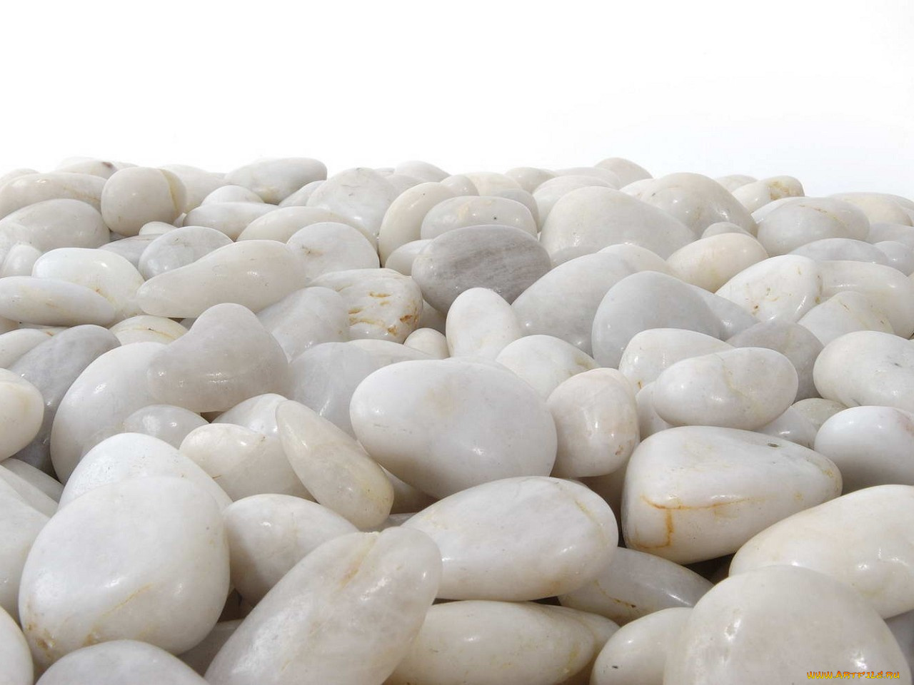 разное, ракушки, кораллы, декоративные, spa, камни