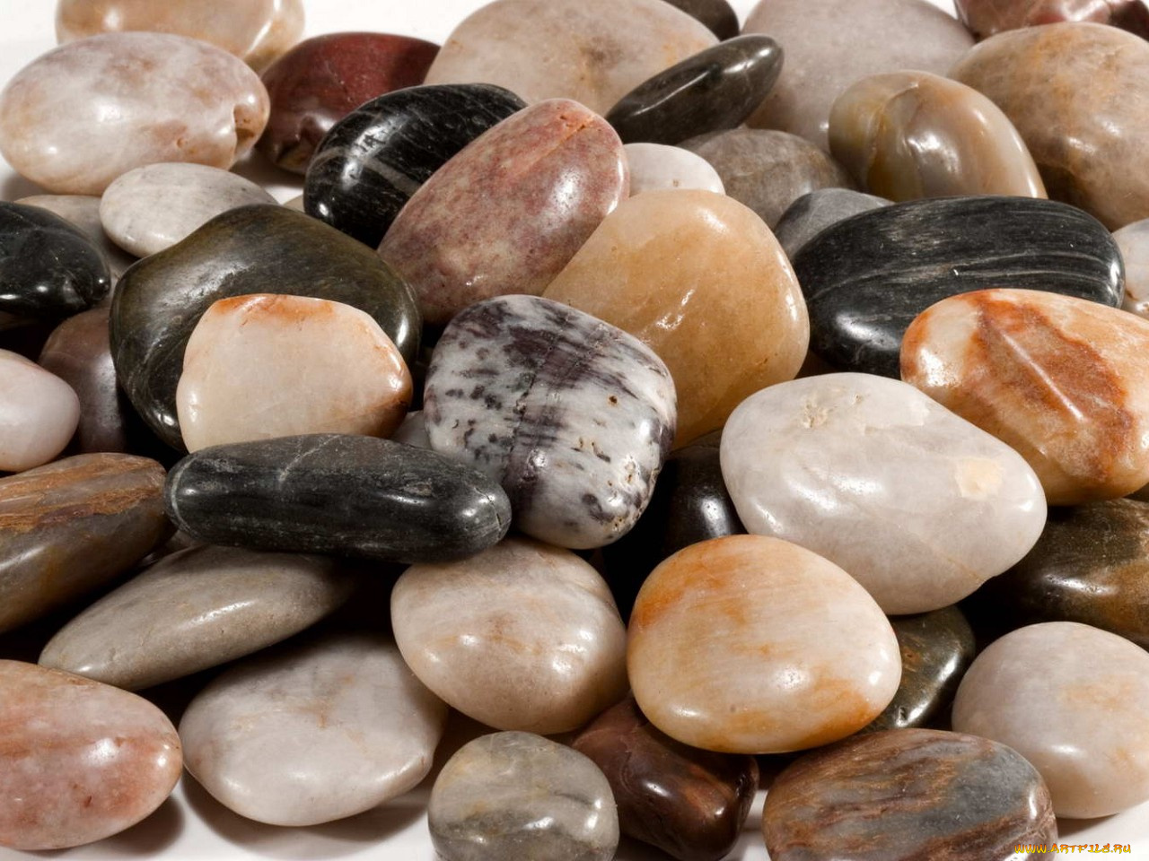 разное, ракушки, кораллы, декоративные, spa, камни