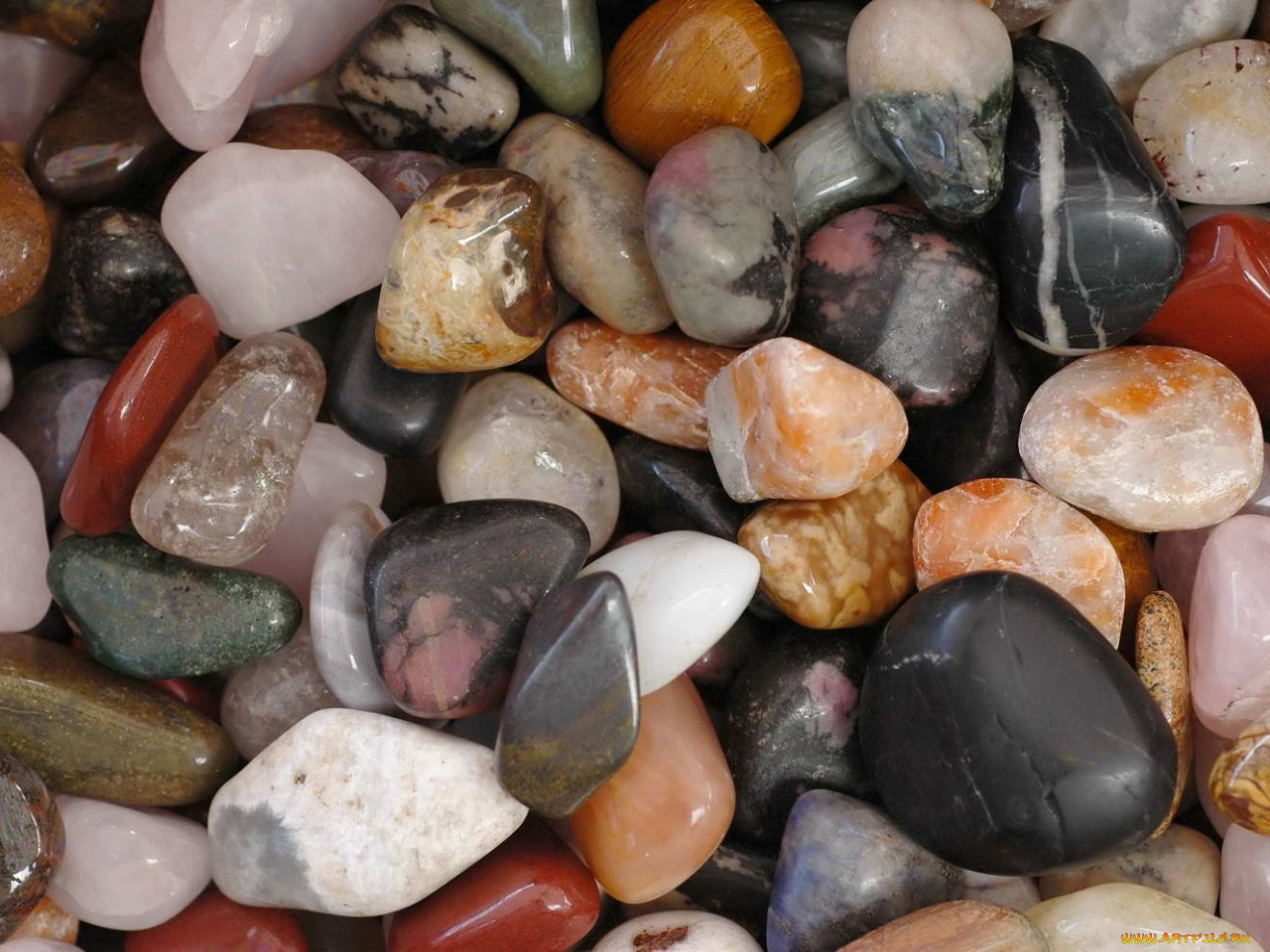 разное, ракушки, кораллы, декоративные, spa, камни