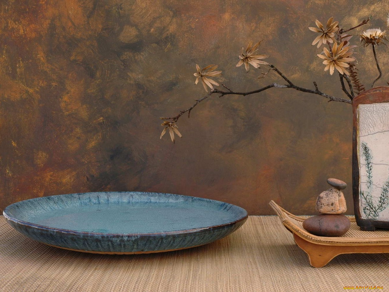 разное, ракушки, кораллы, декоративные, spa, камни