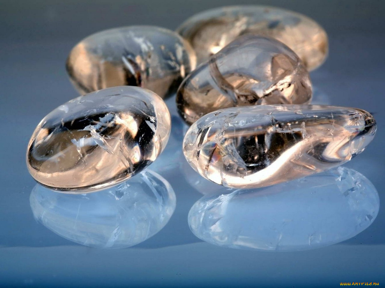 разное, ракушки, кораллы, декоративные, spa, камни