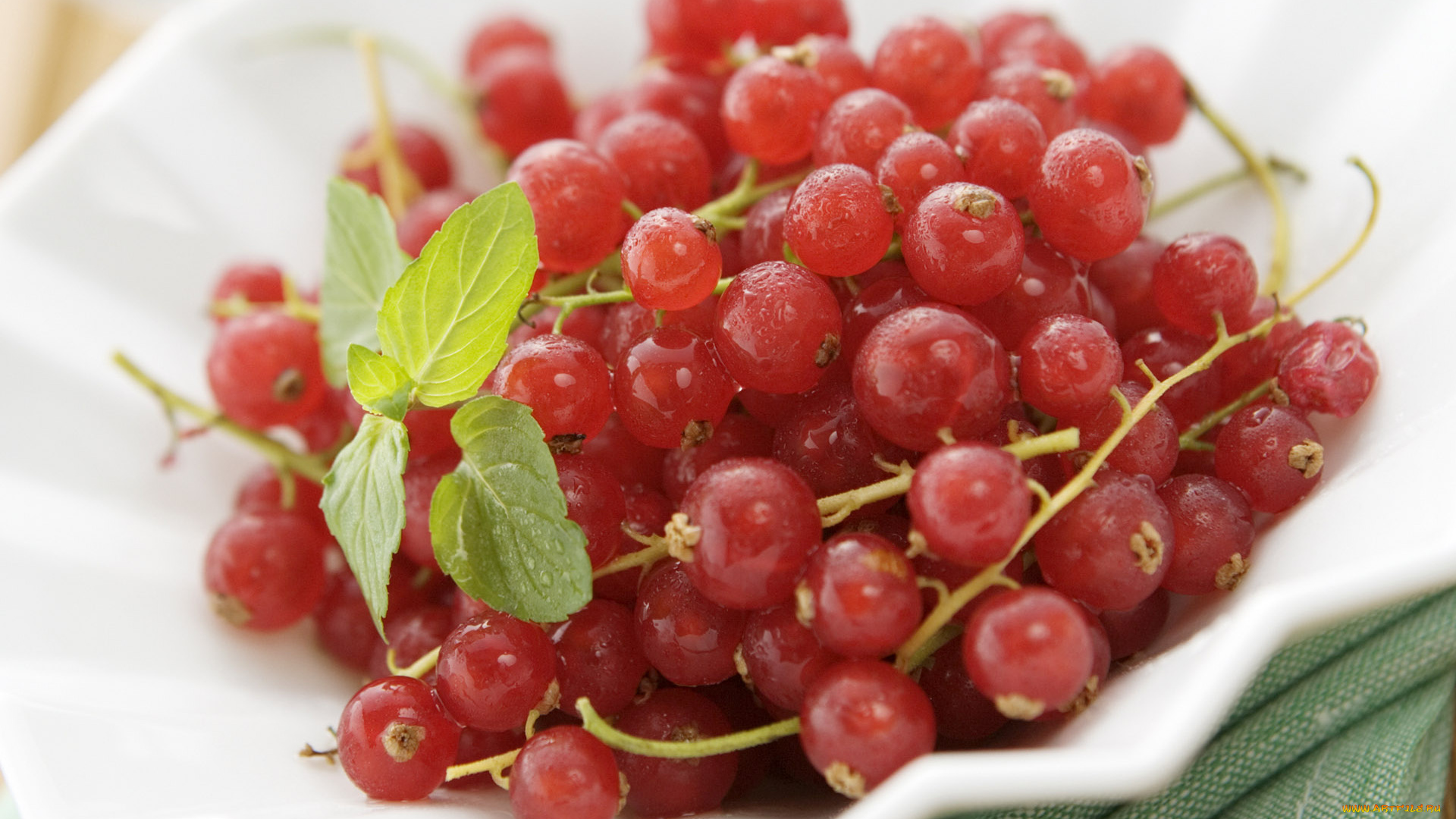 еда, смородина