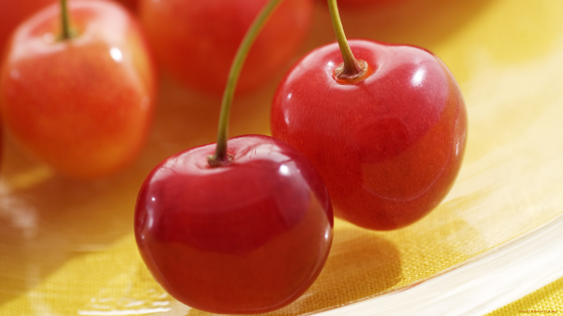 еда, вишня, черешня