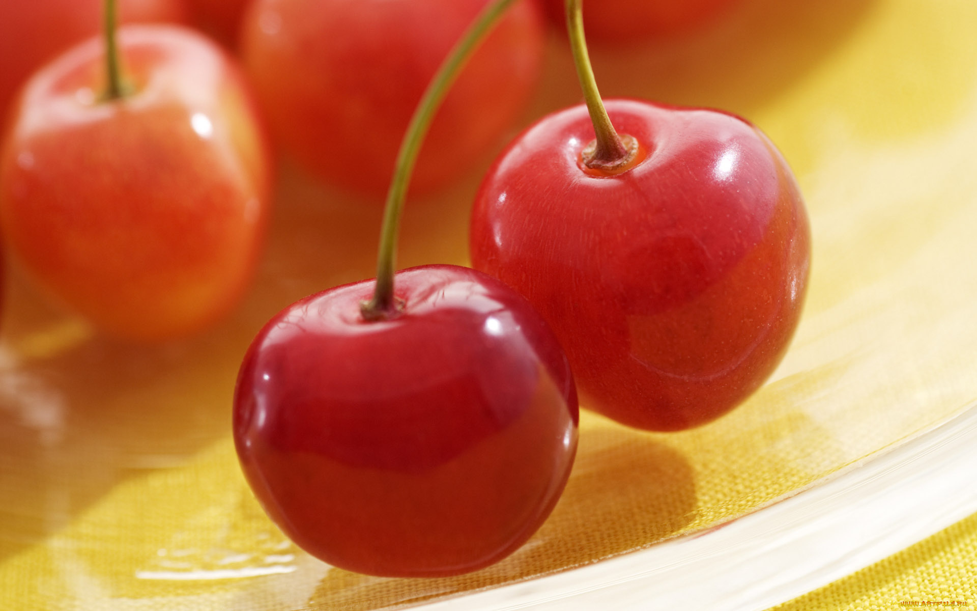 еда, вишня, черешня