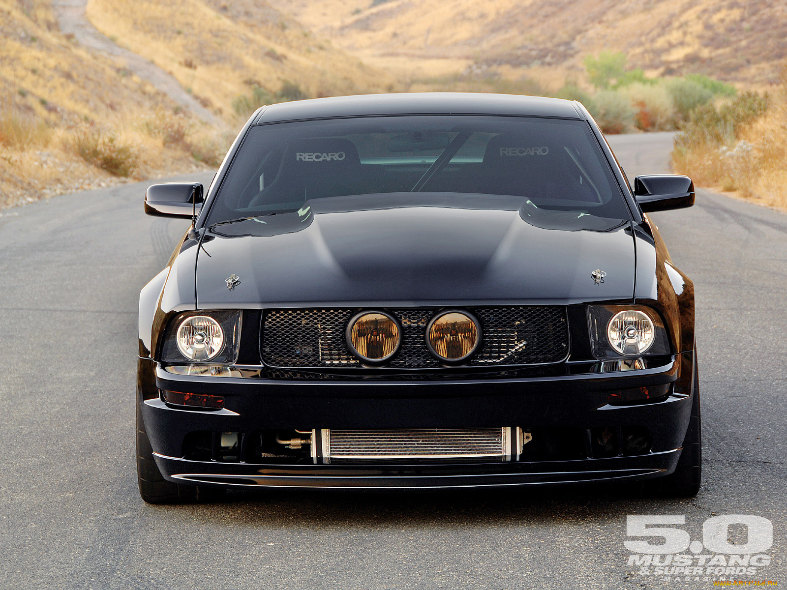 автомобили, mustang