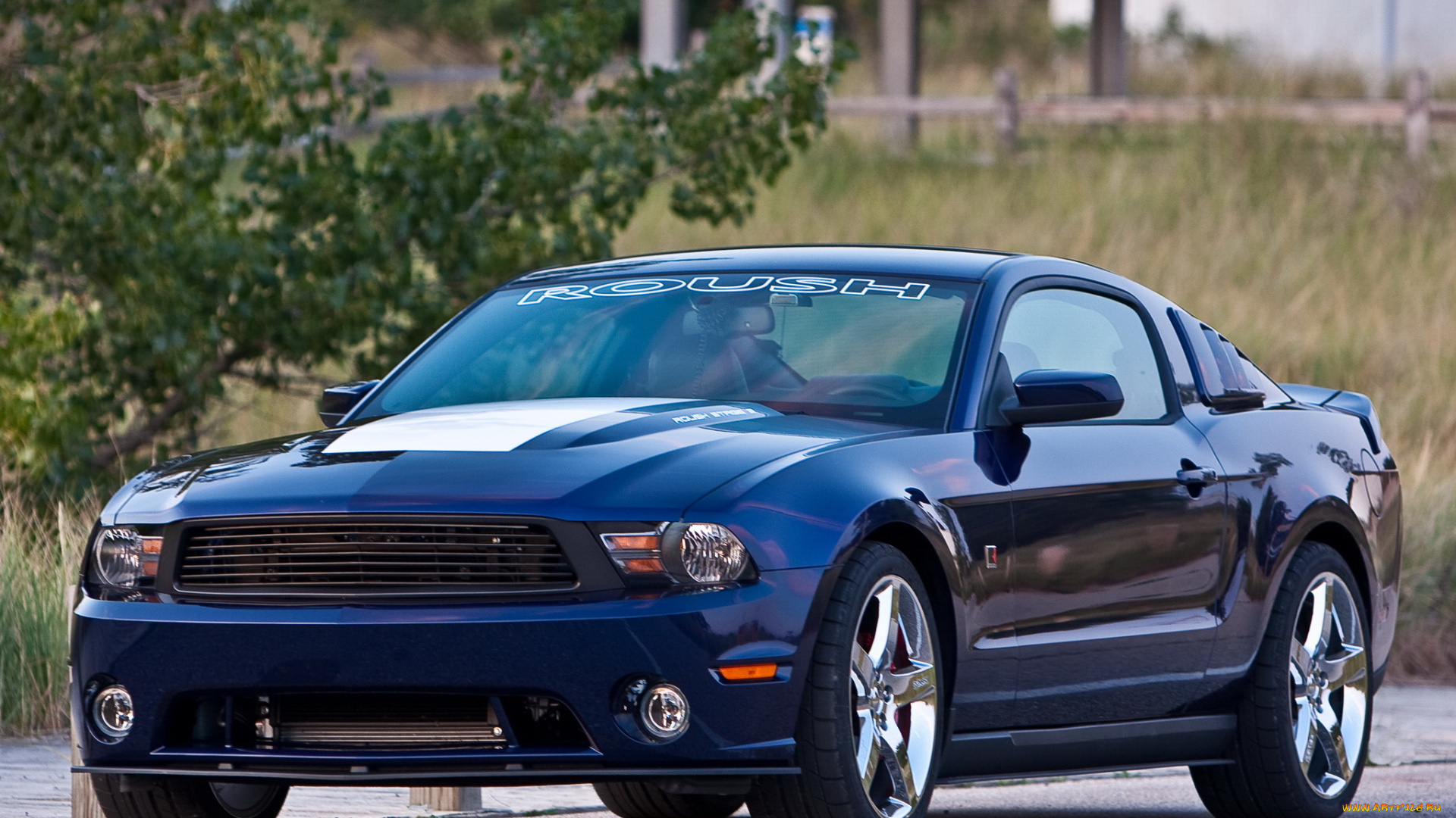 автомобили, mustang