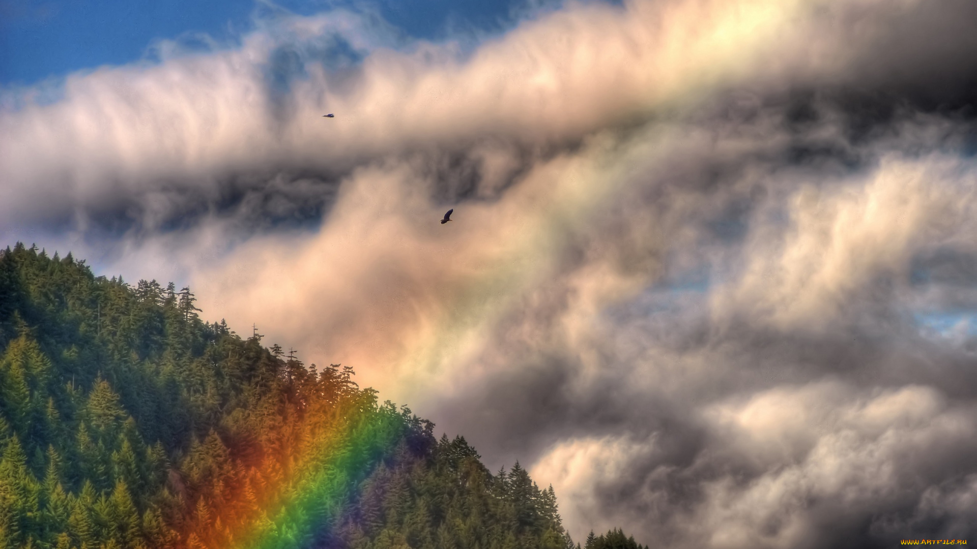 природа, радуга