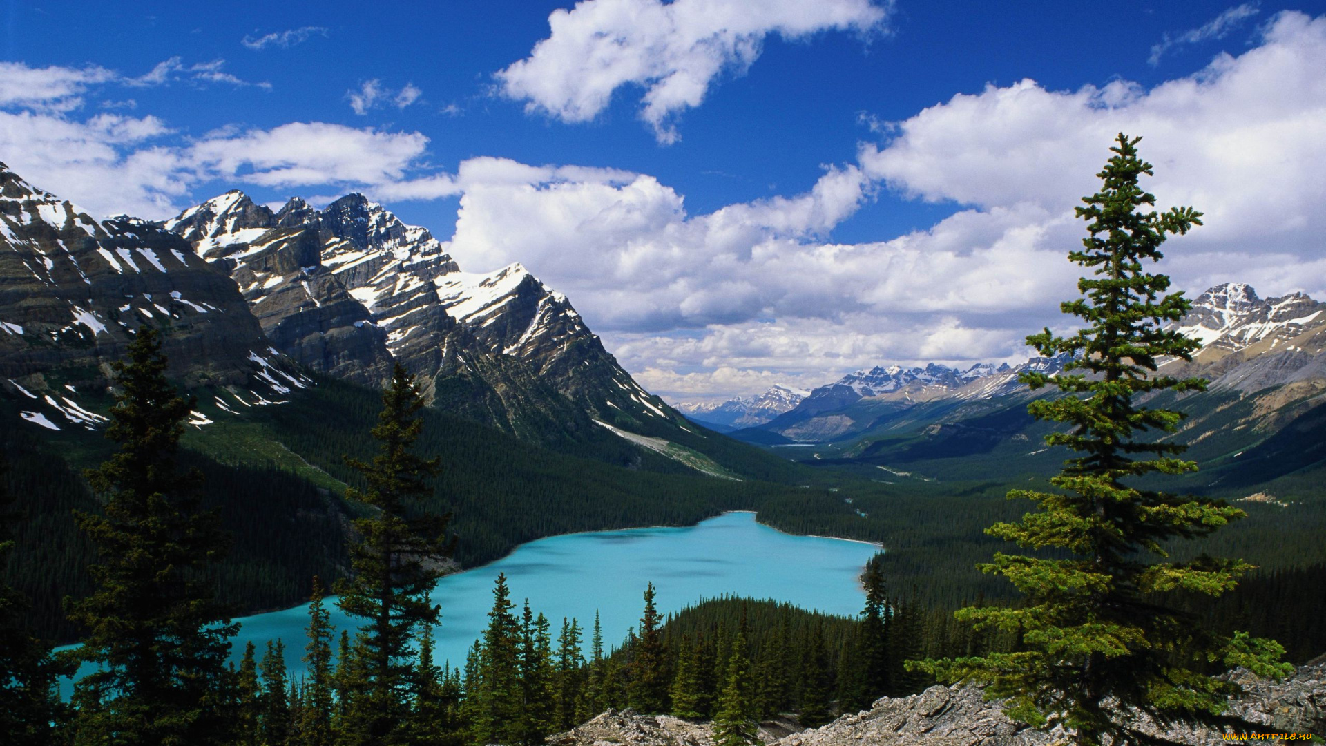 природа, реки, озера