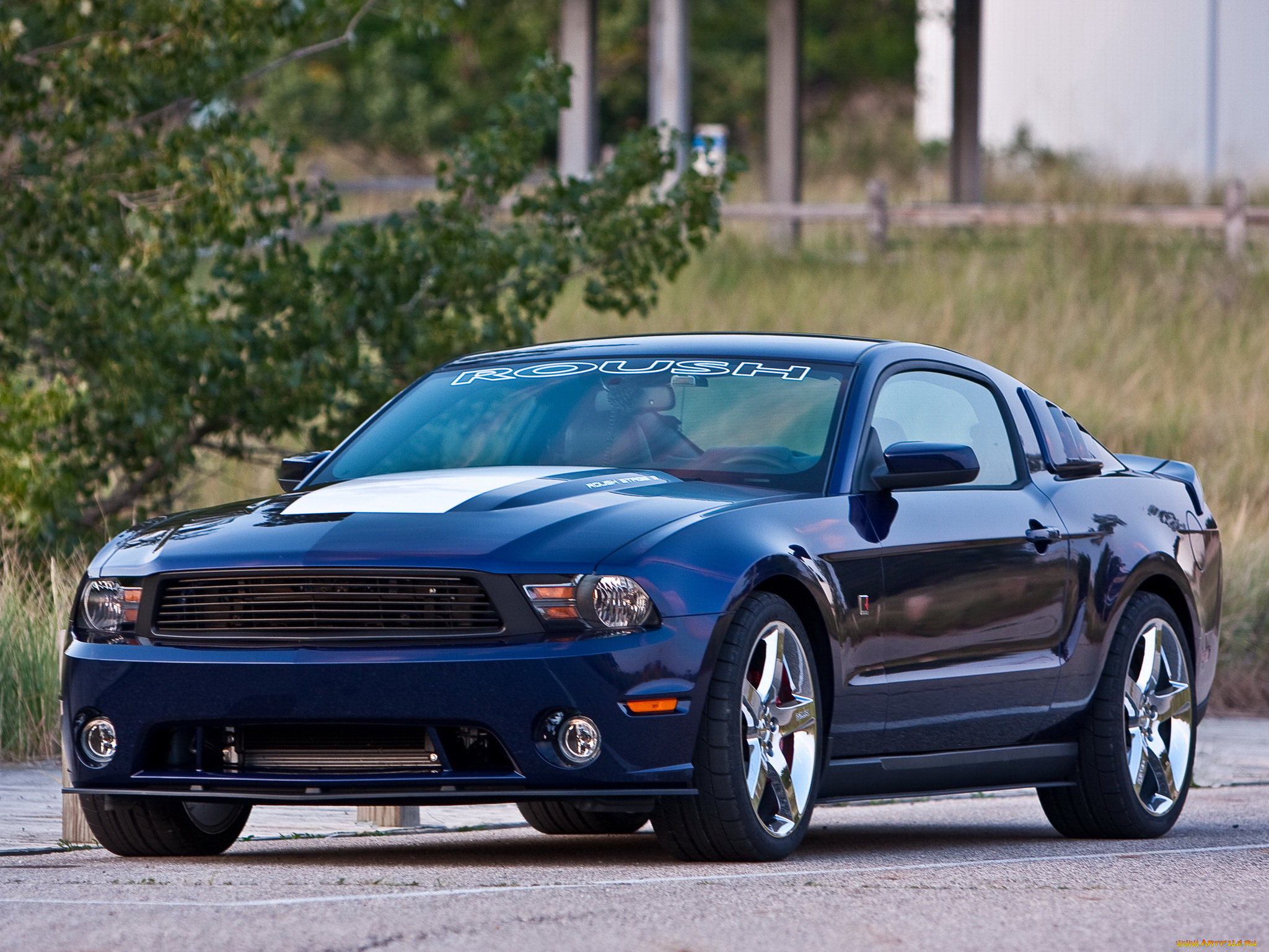 автомобили, mustang