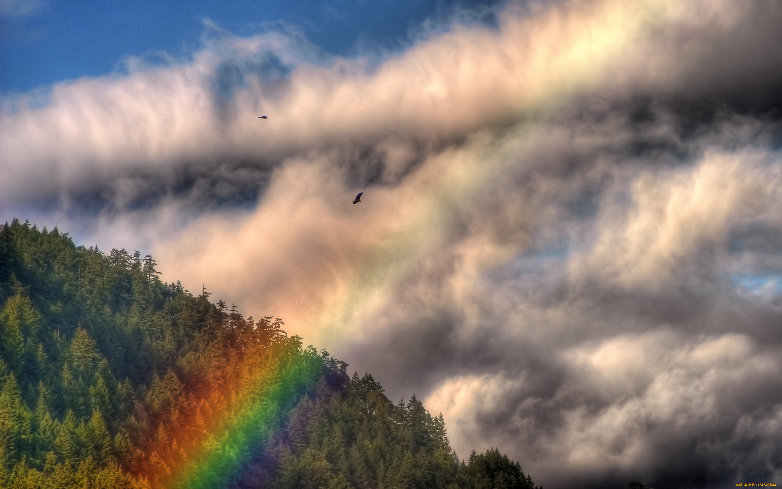 природа, радуга