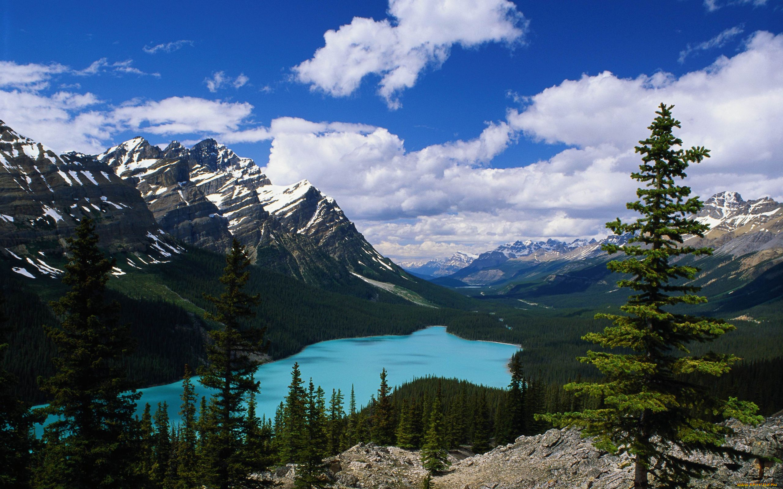 природа, реки, озера