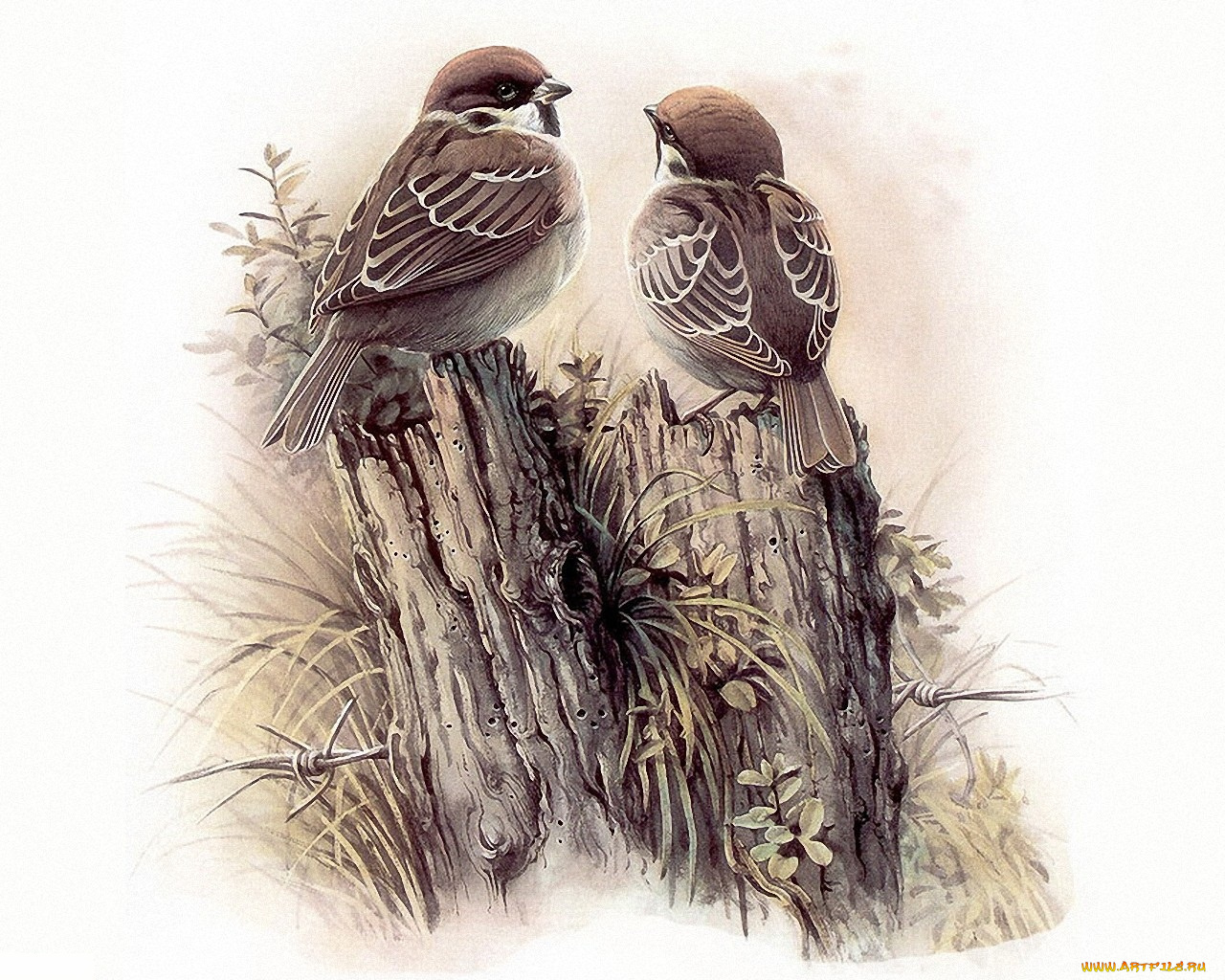 рисованные, животные