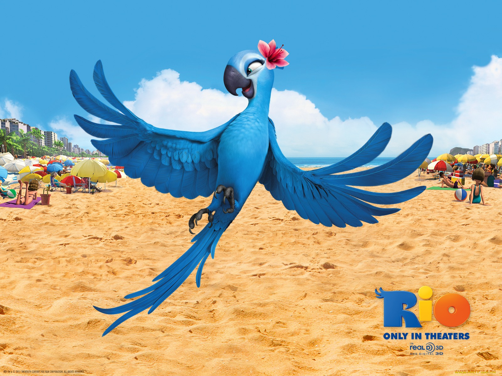 мультфильмы, rio