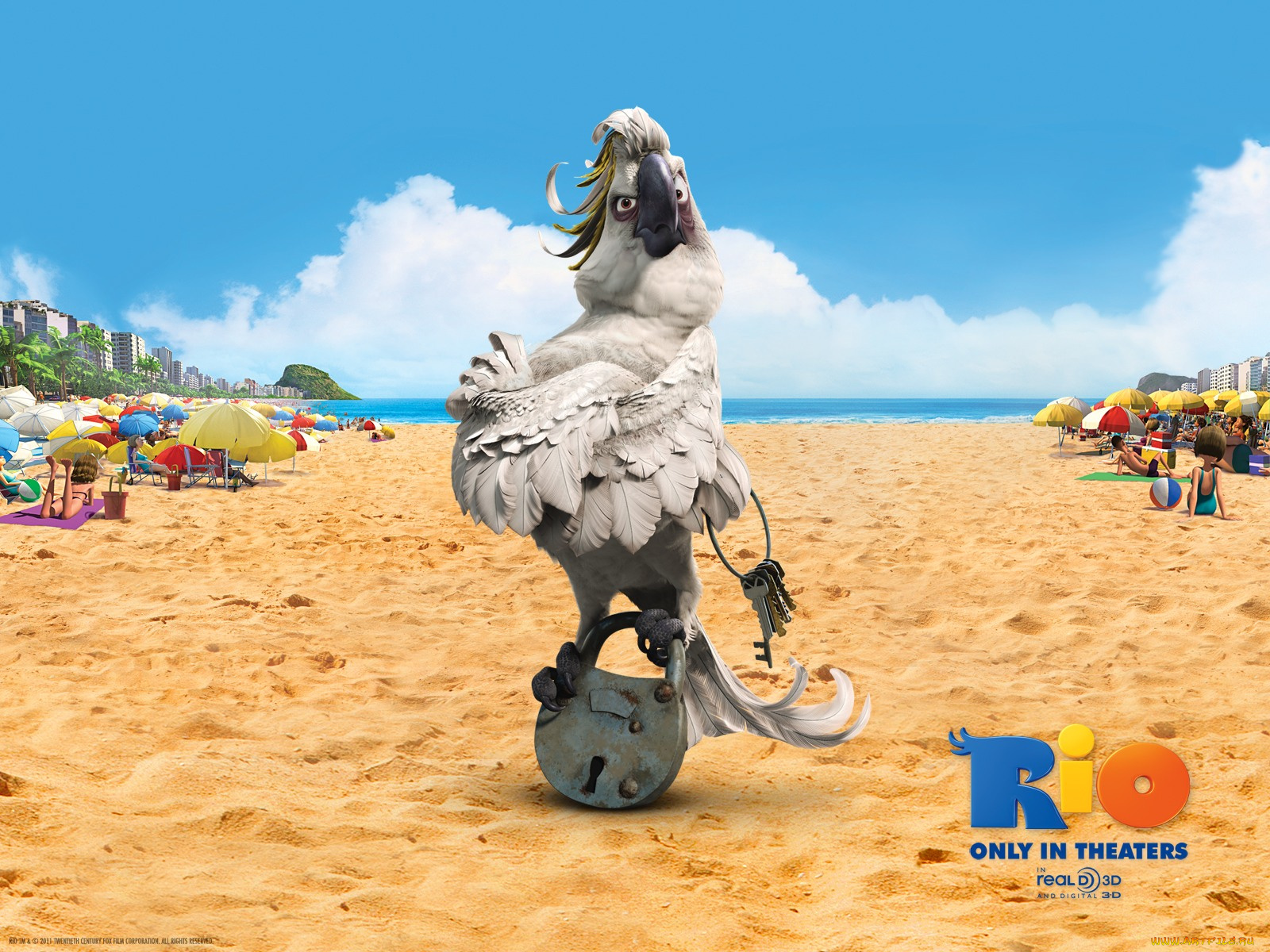 мультфильмы, rio