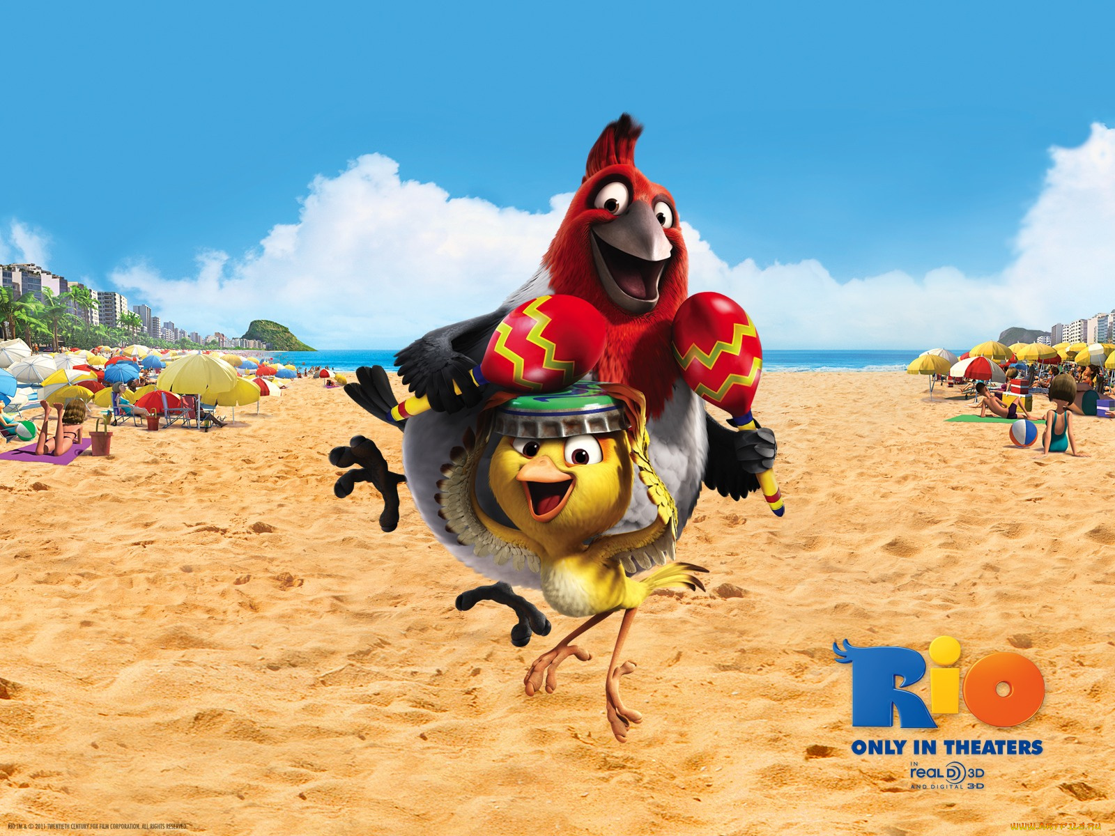 мультфильмы, rio