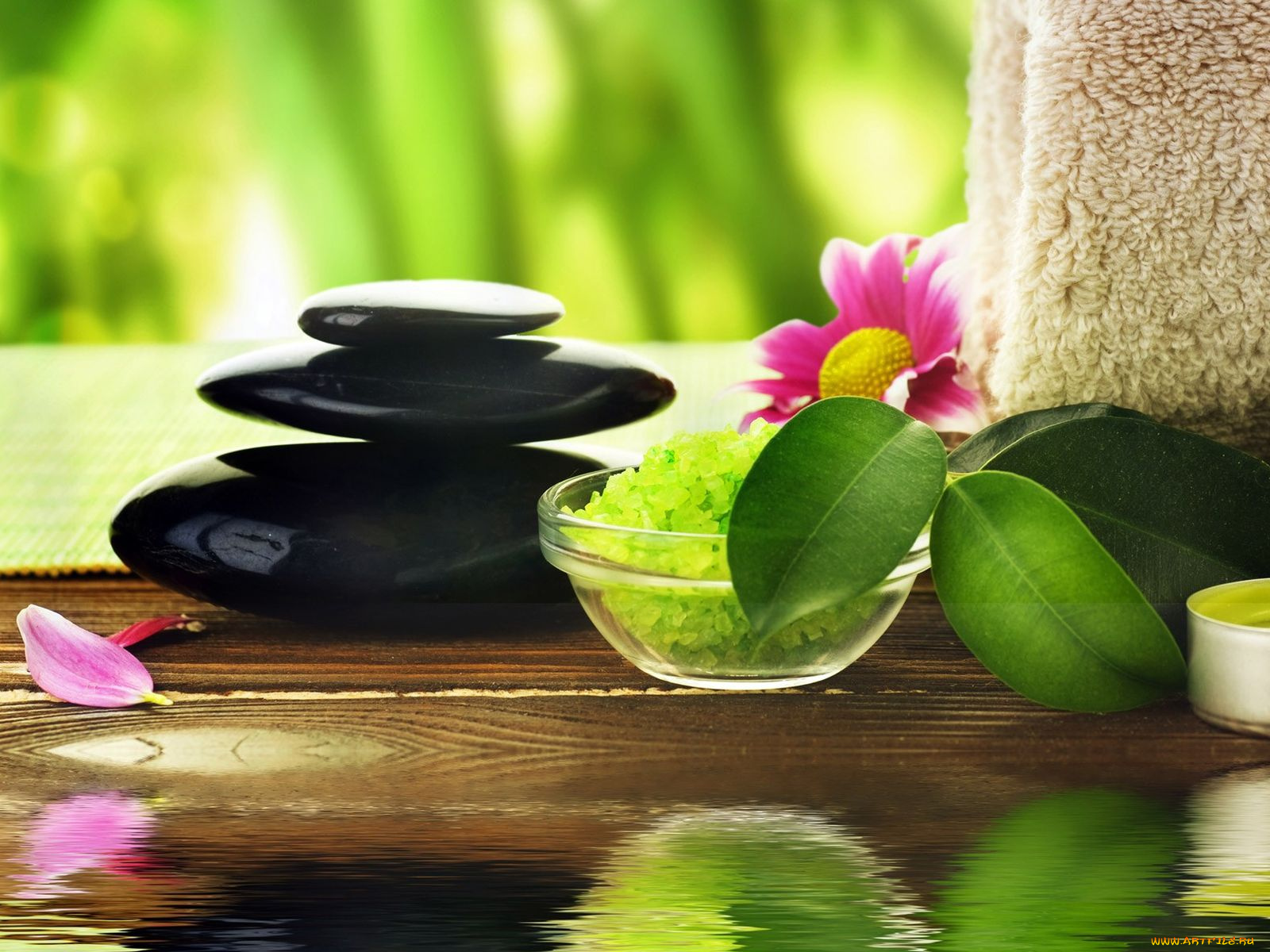 разное, ракушки, кораллы, декоративные, spa, камни