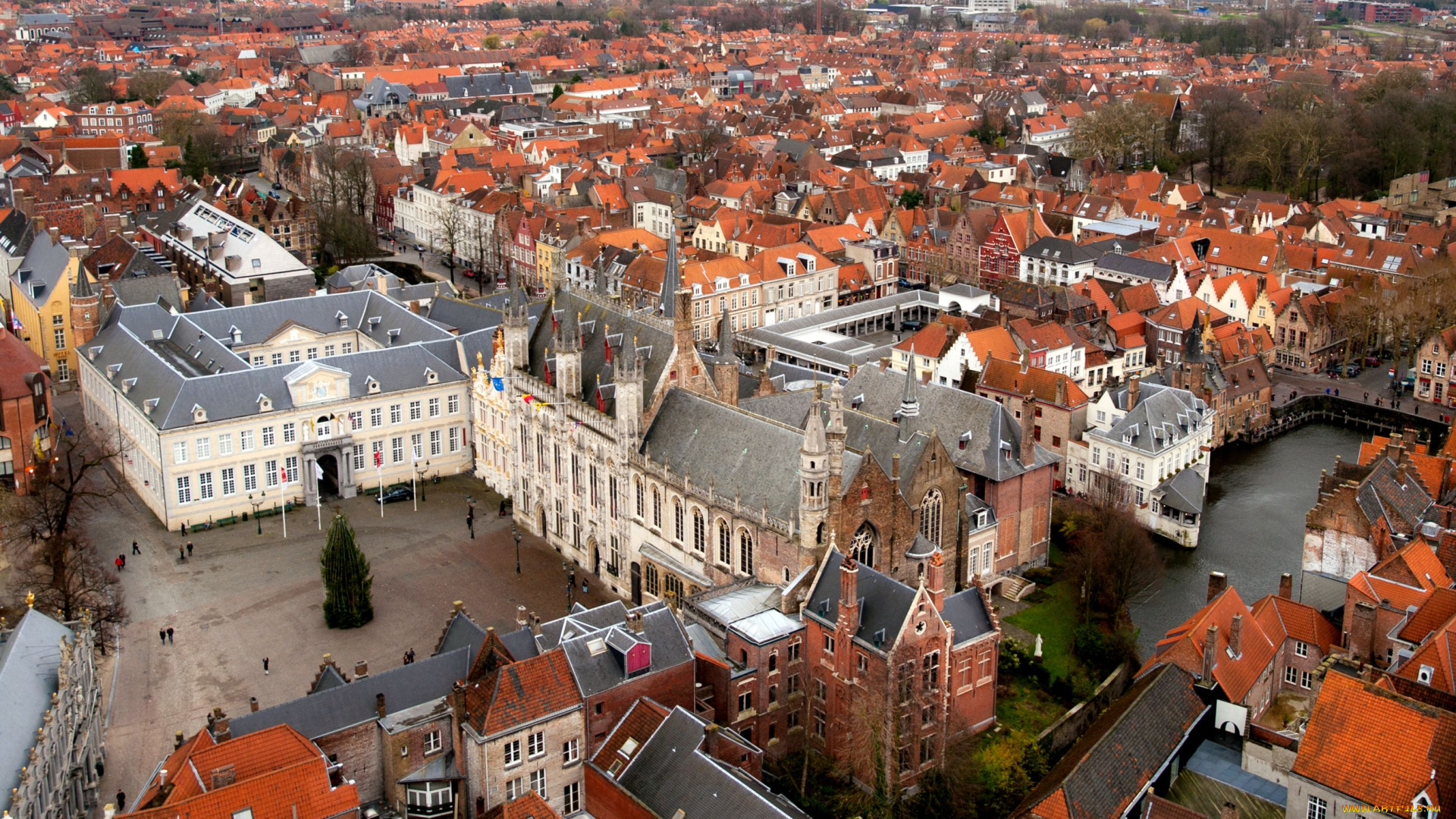 брюгге, бельгия, города, дома, площадь, крыши