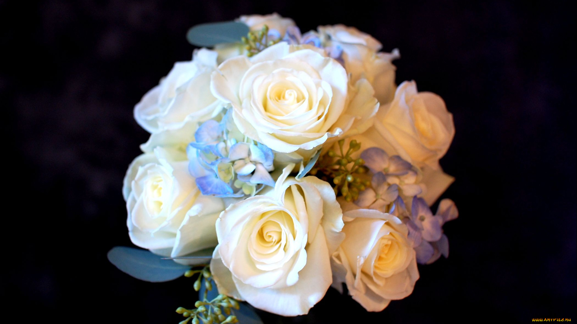 цветы, букеты, композиции, розы, гортензия