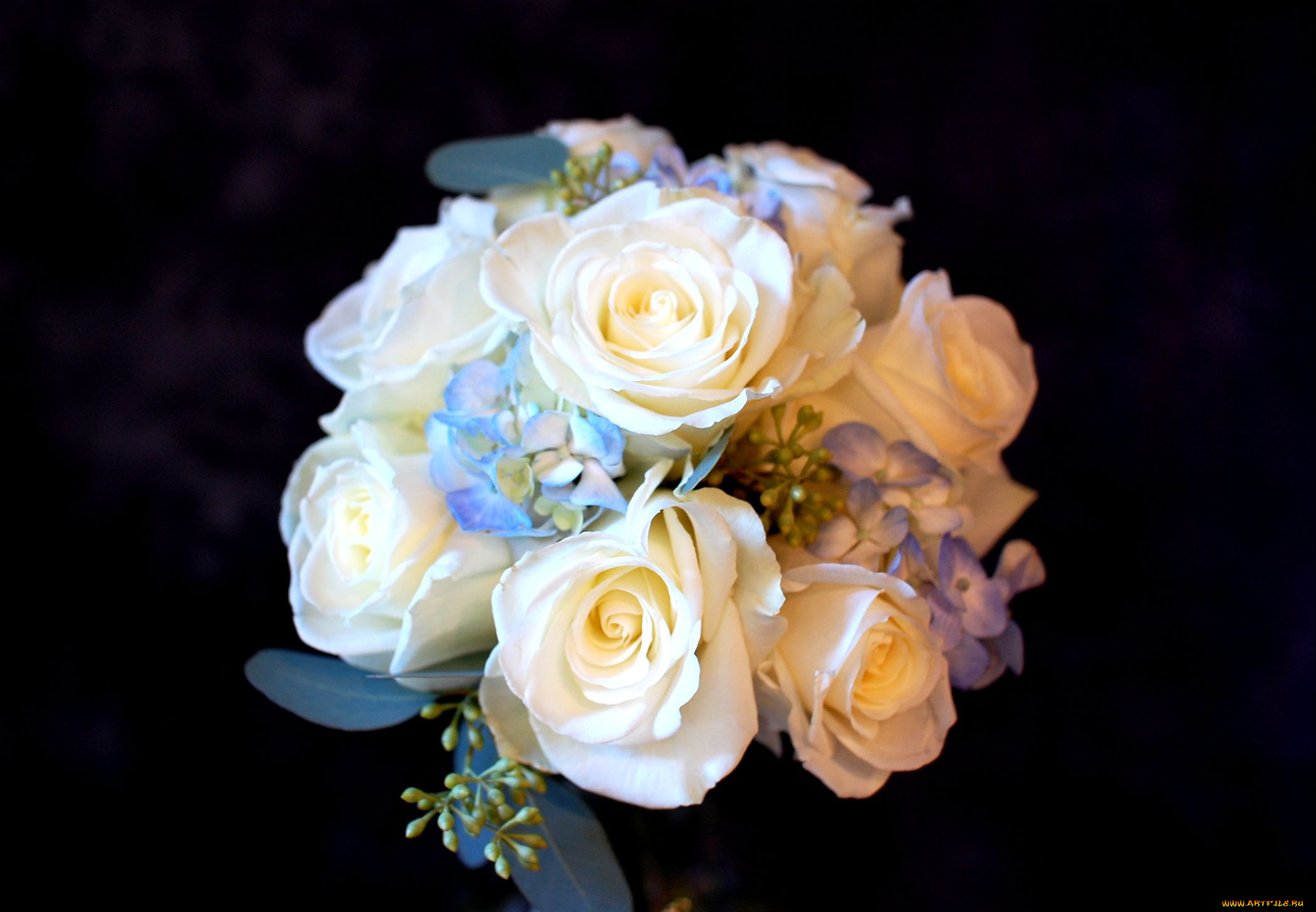 цветы, букеты, композиции, розы, гортензия