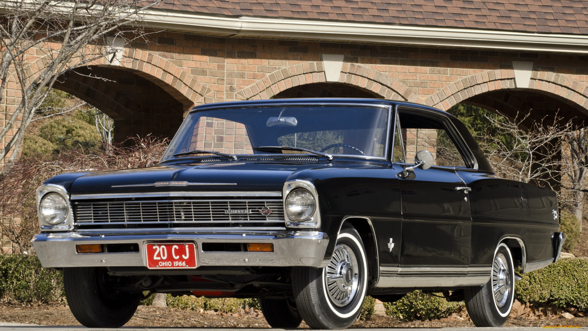 автомобили, chevrolet, nova