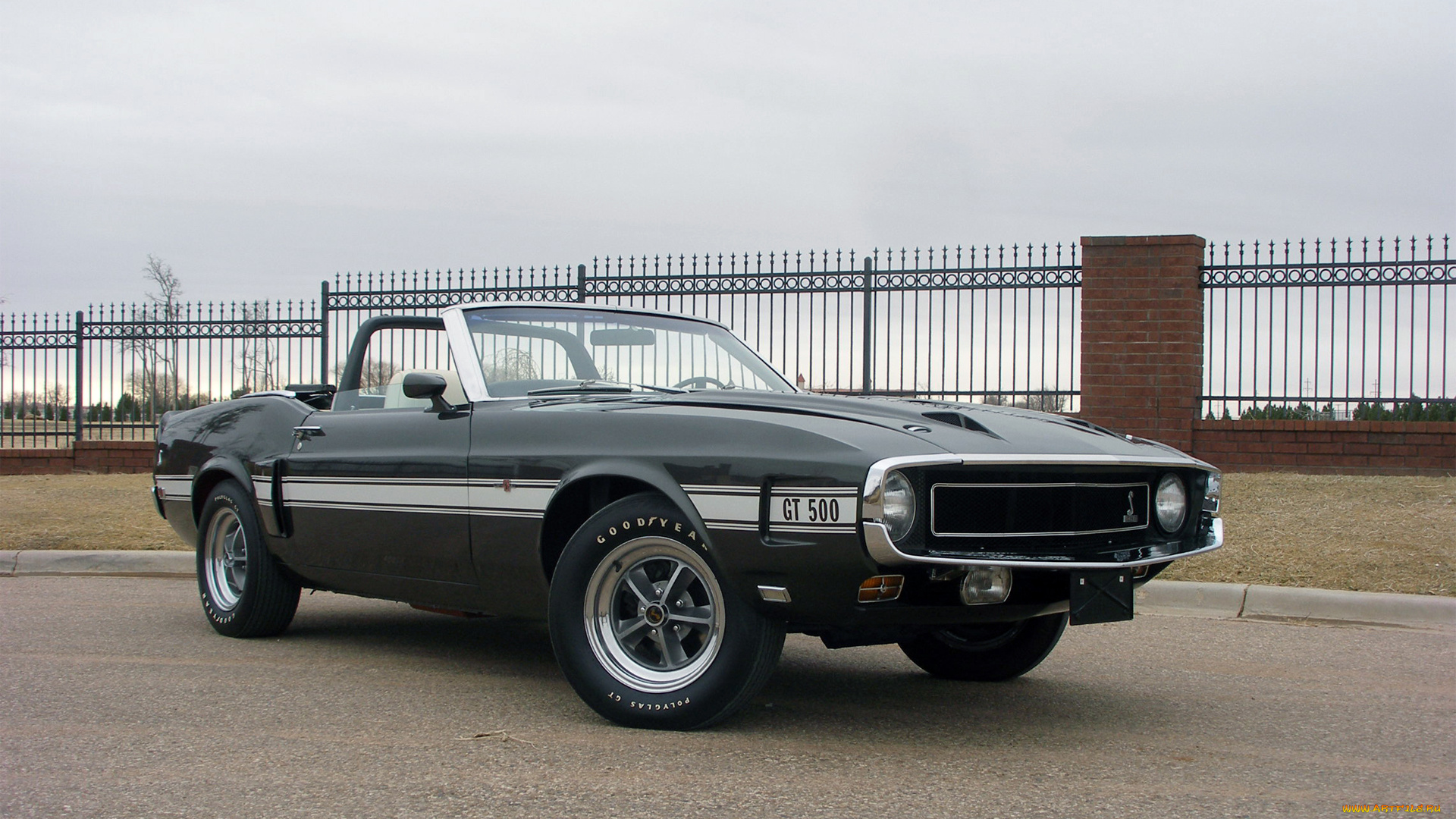 автомобили, mustang