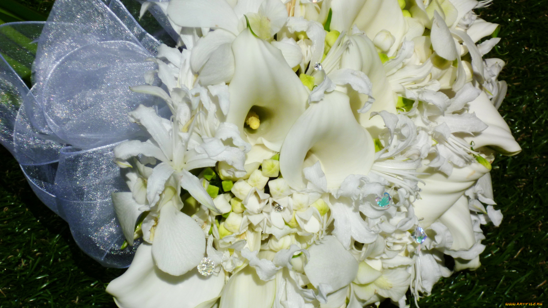 цветы, букеты, , композиции, букет, каллы, гортензия, лилии