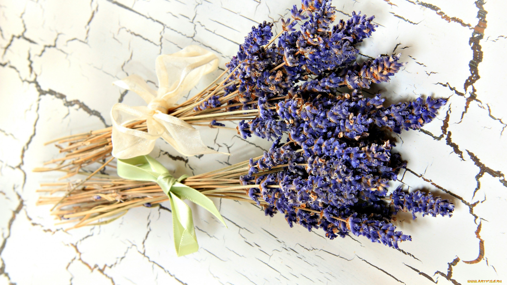 цветы, лаванда, натюрморт