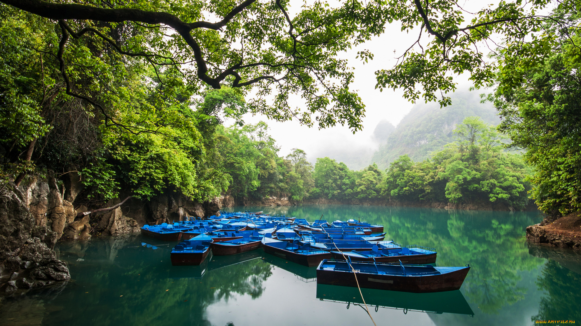 корабли, лодки, , шлюпки, река, лес, туман