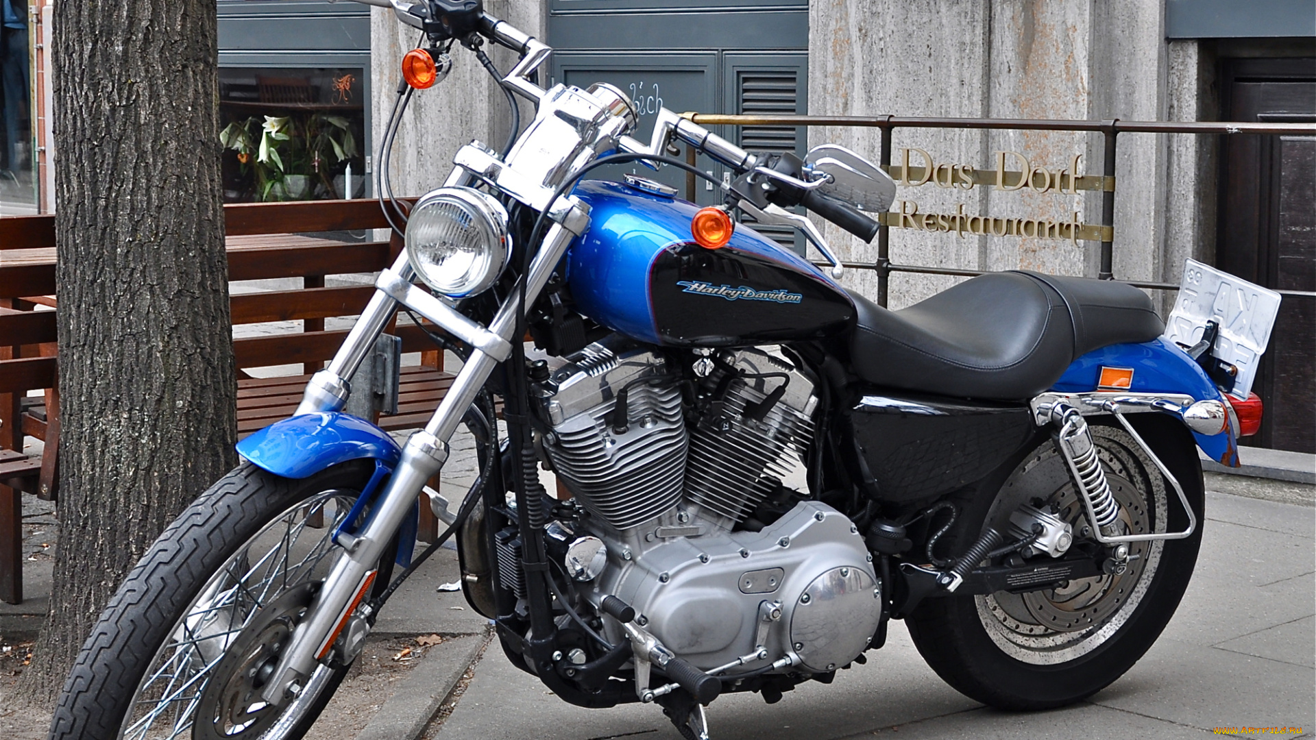 мотоциклы, harley-davidson, sportster