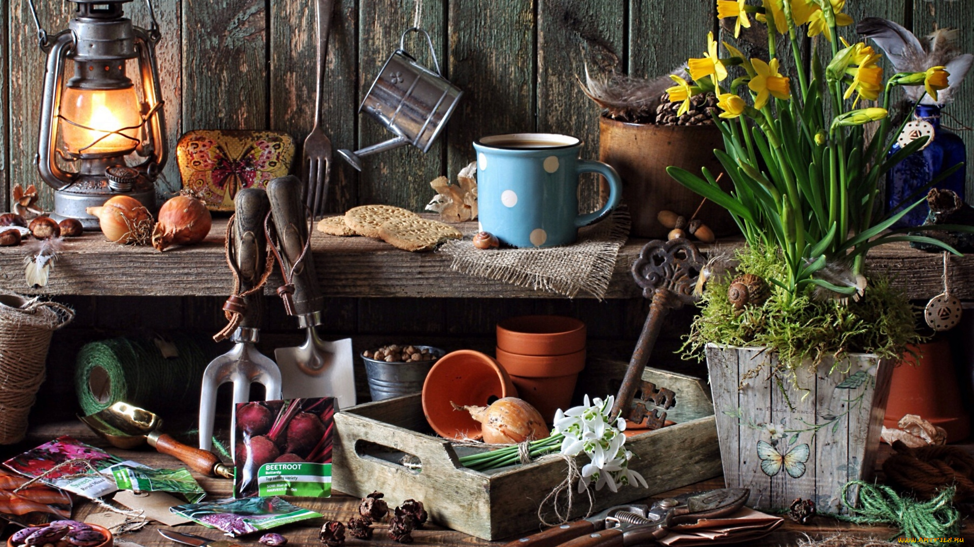 разное, -, другое, всякая, всячина